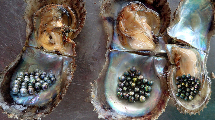 Eco-Friendly Practices in Black Pearl Farming: Sustainability Meets Luxury