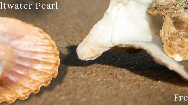 Freshwater Vs Saltwater Pearl: Know the Difference