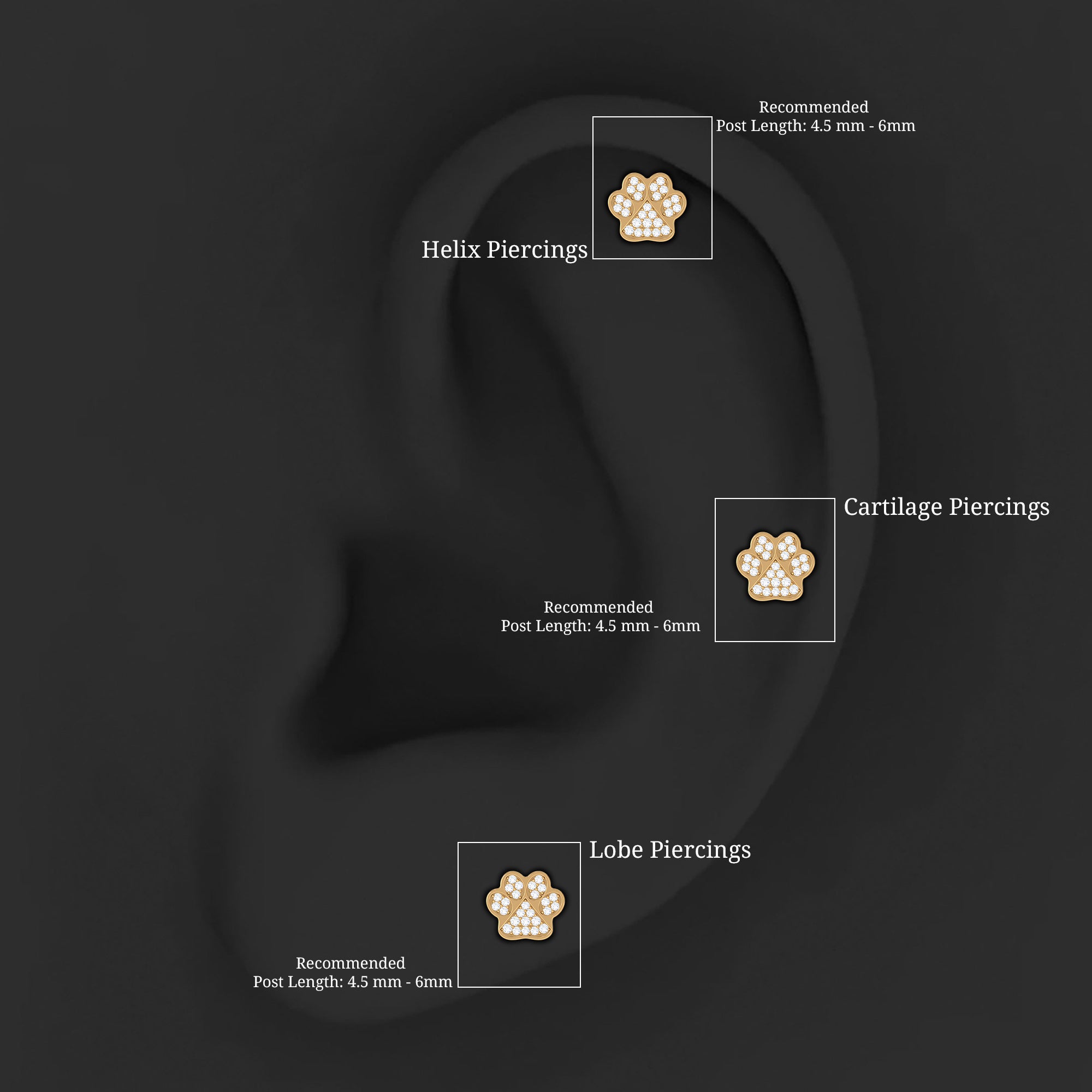 Certified Diamond Paw Cartilage Earring Lab - ( EF-VS ) - Rosec Jewels