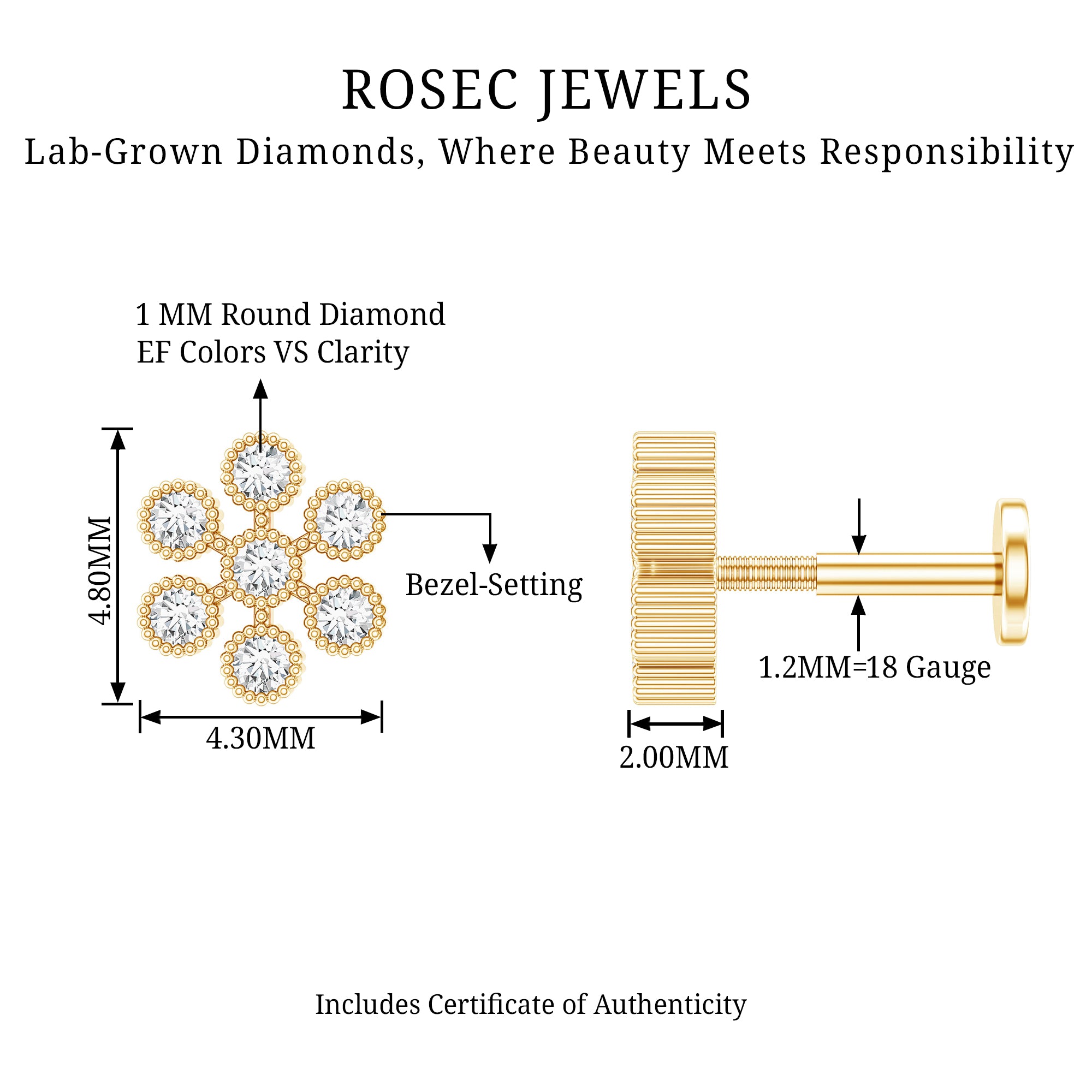 Round Diamond Flower Earring in Beaded Bezel Setting Lab - ( EF-VS ) - Rosec Jewels
