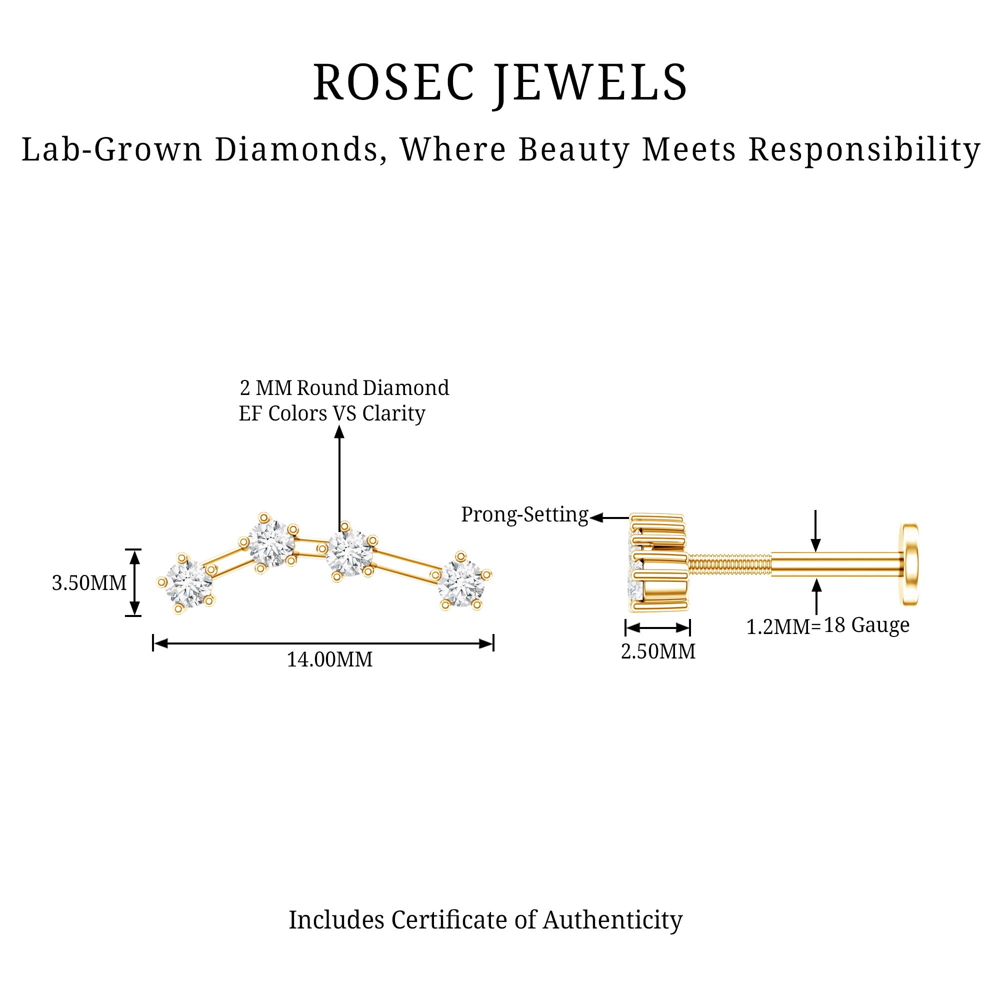 Diamond Aquarius Zodiac Earring for Helix Piercing Lab - ( EF-VS ) - Rosec Jewels