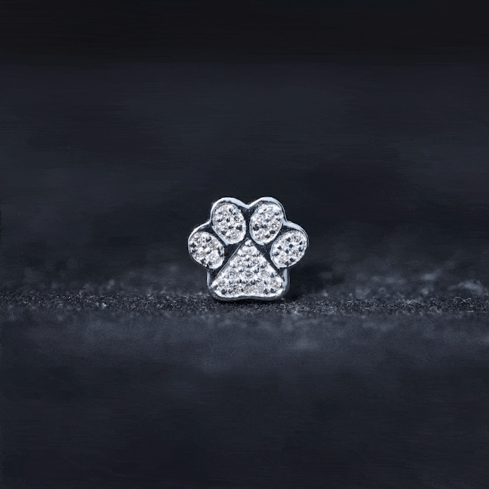 Moissanite Dog Paw Print Earring for Cartilage Piercing D-VS1 - Rosec Jewels