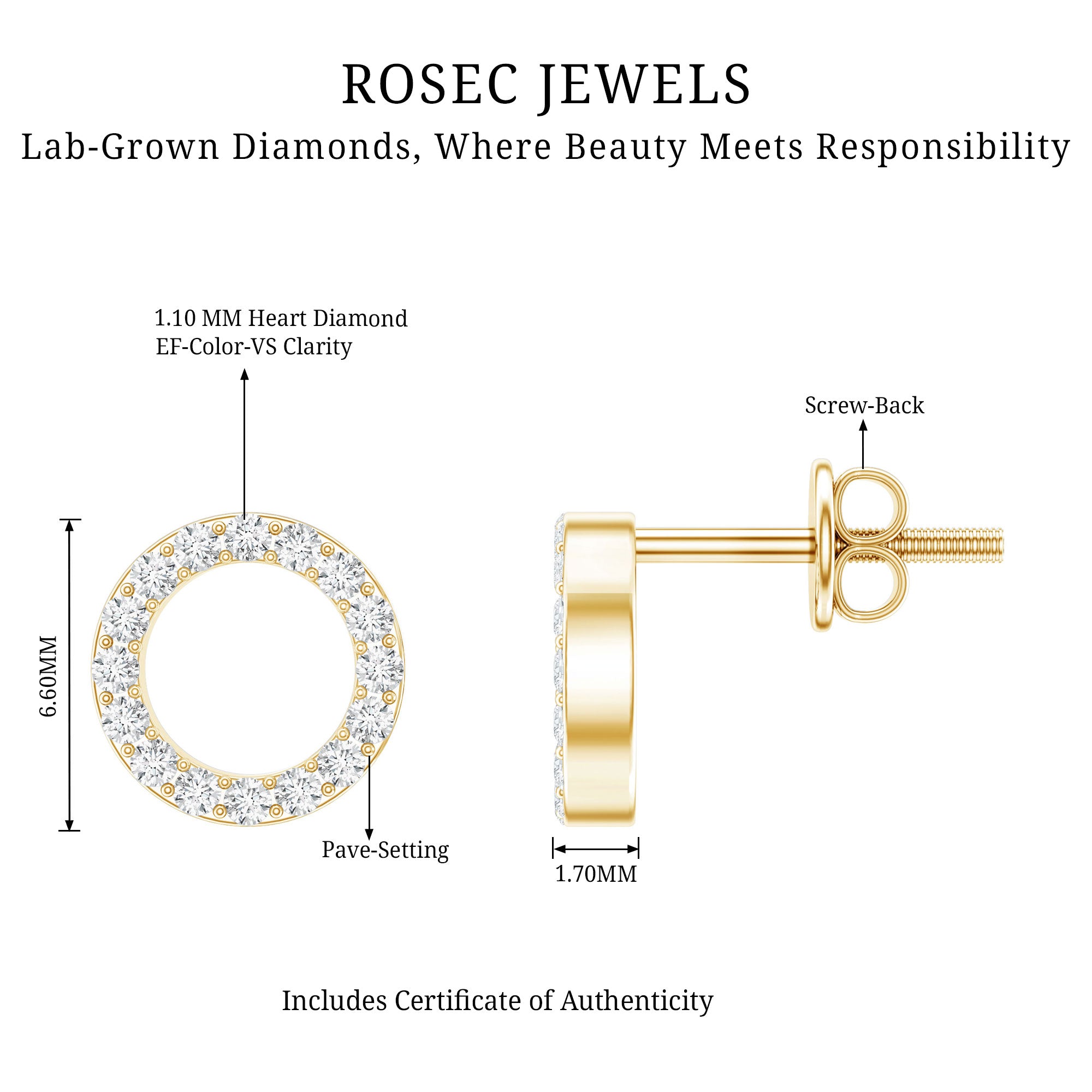 Lab Grown Diamond Circle Stud Earrings With Screw Back Lab - ( EF-VS ) - Rosec Jewels