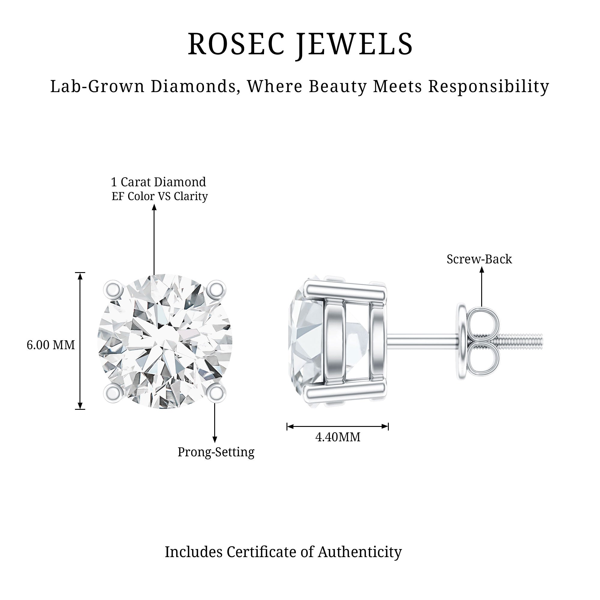IGI Certified 2 Carat Round Lab Grown Diamond Stud Earrings with Screw Backs Lab - ( E-VS1 ) - Rosec Jewels
