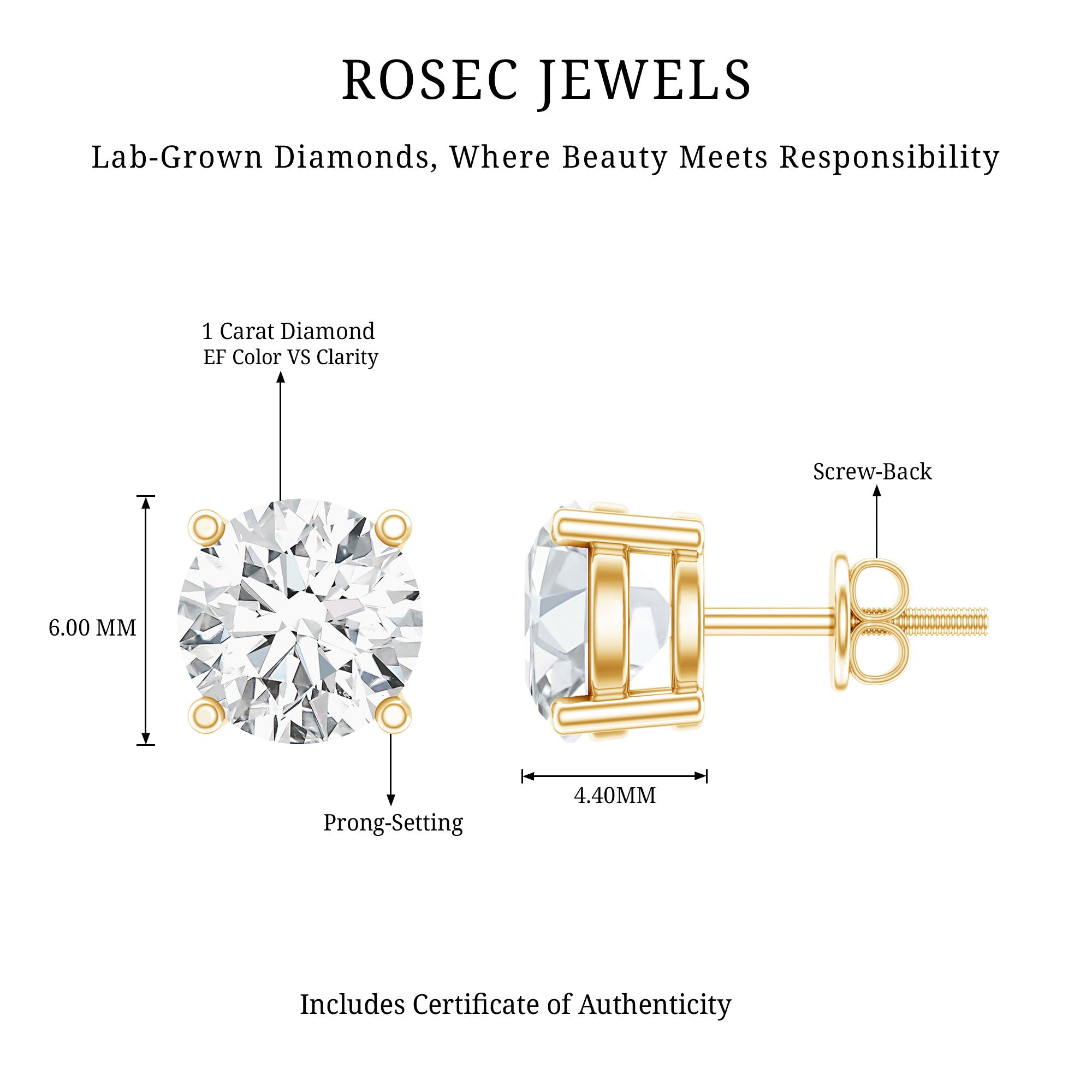 IGI Certified 2 Carat Round Lab Grown Diamond Stud Earrings with Screw Backs Lab - ( E-VS1 ) - Rosec Jewels