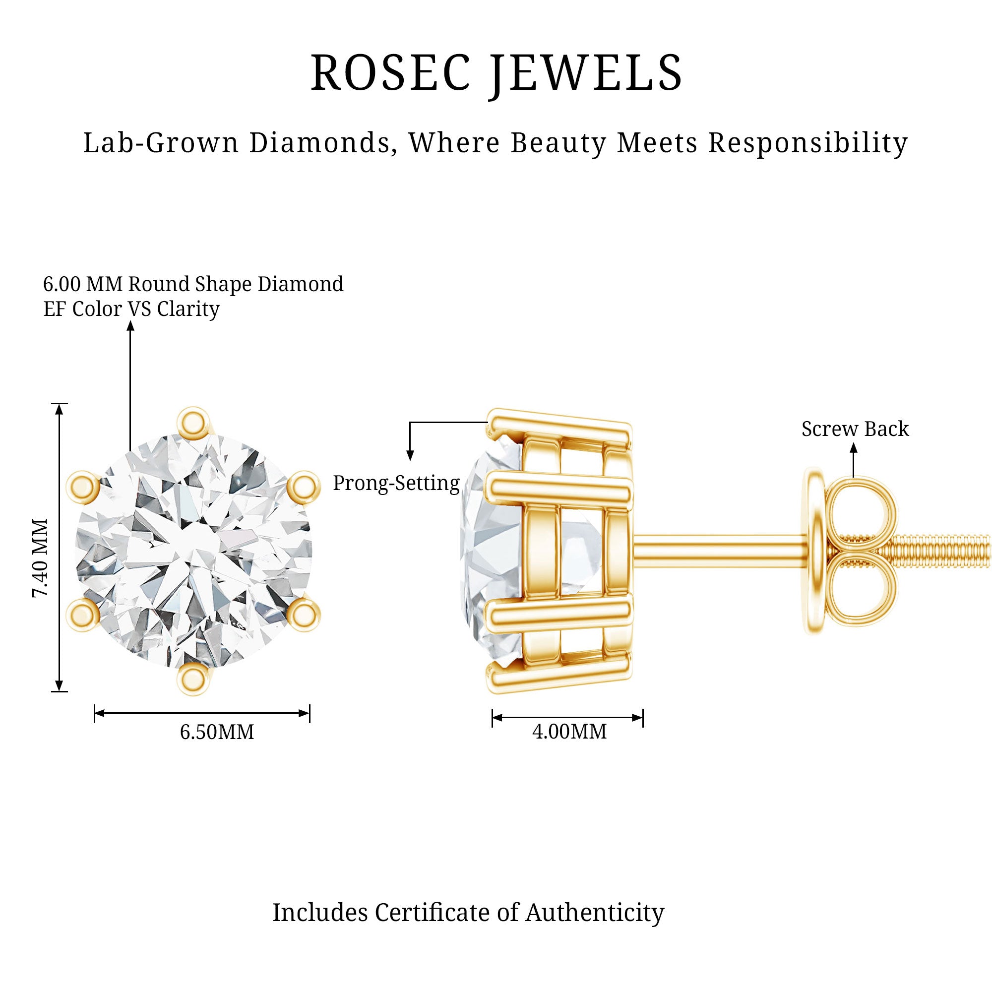 IGI Certified 2 Carat Lab Grown Diamond Solitaire Stud Earrings Lab - ( E-VS1 ) - Rosec Jewels