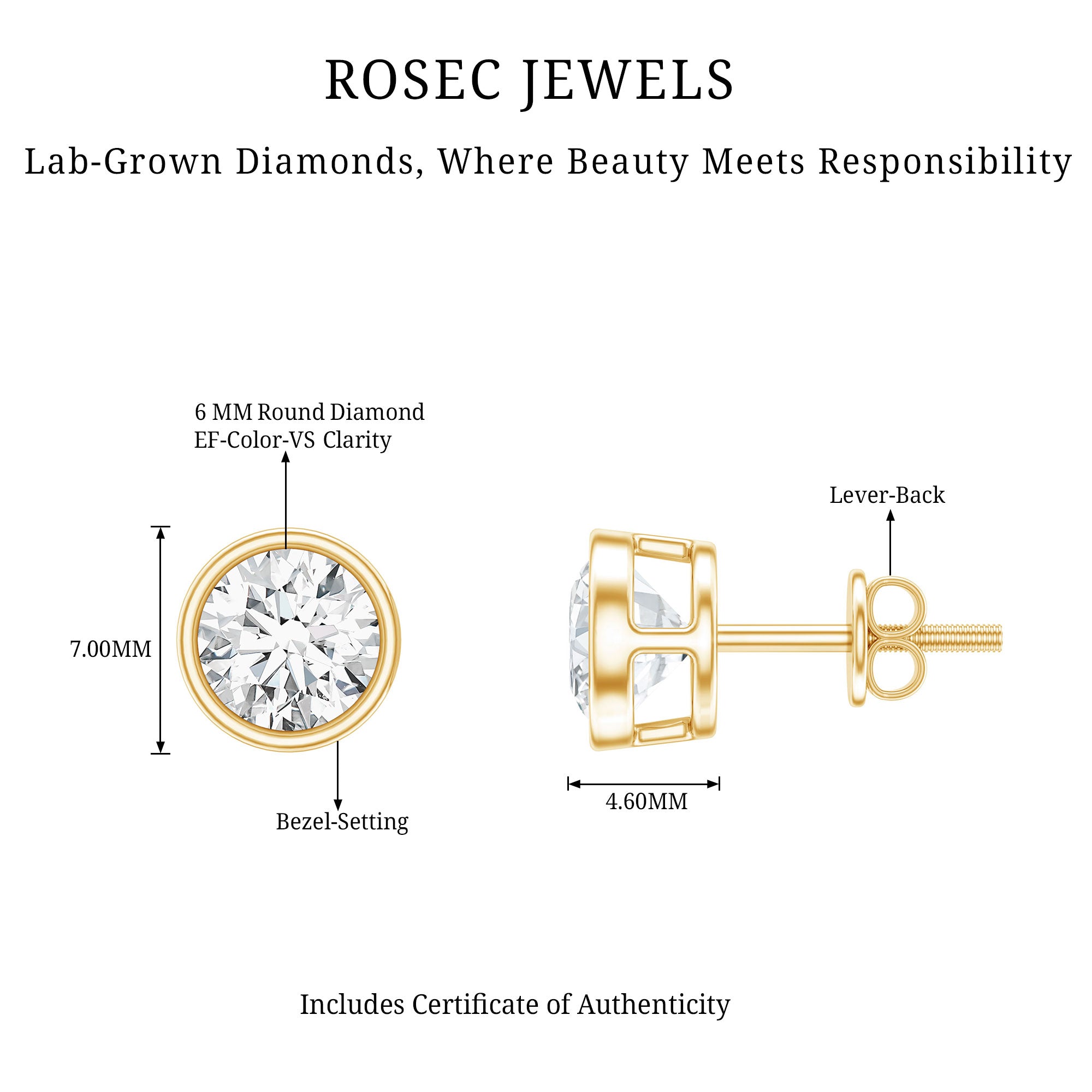 IGI Certified 2 CT Lab Grown Diamond Solitaire Stud Earrings Lab - ( E-VS1 ) - Rosec Jewels