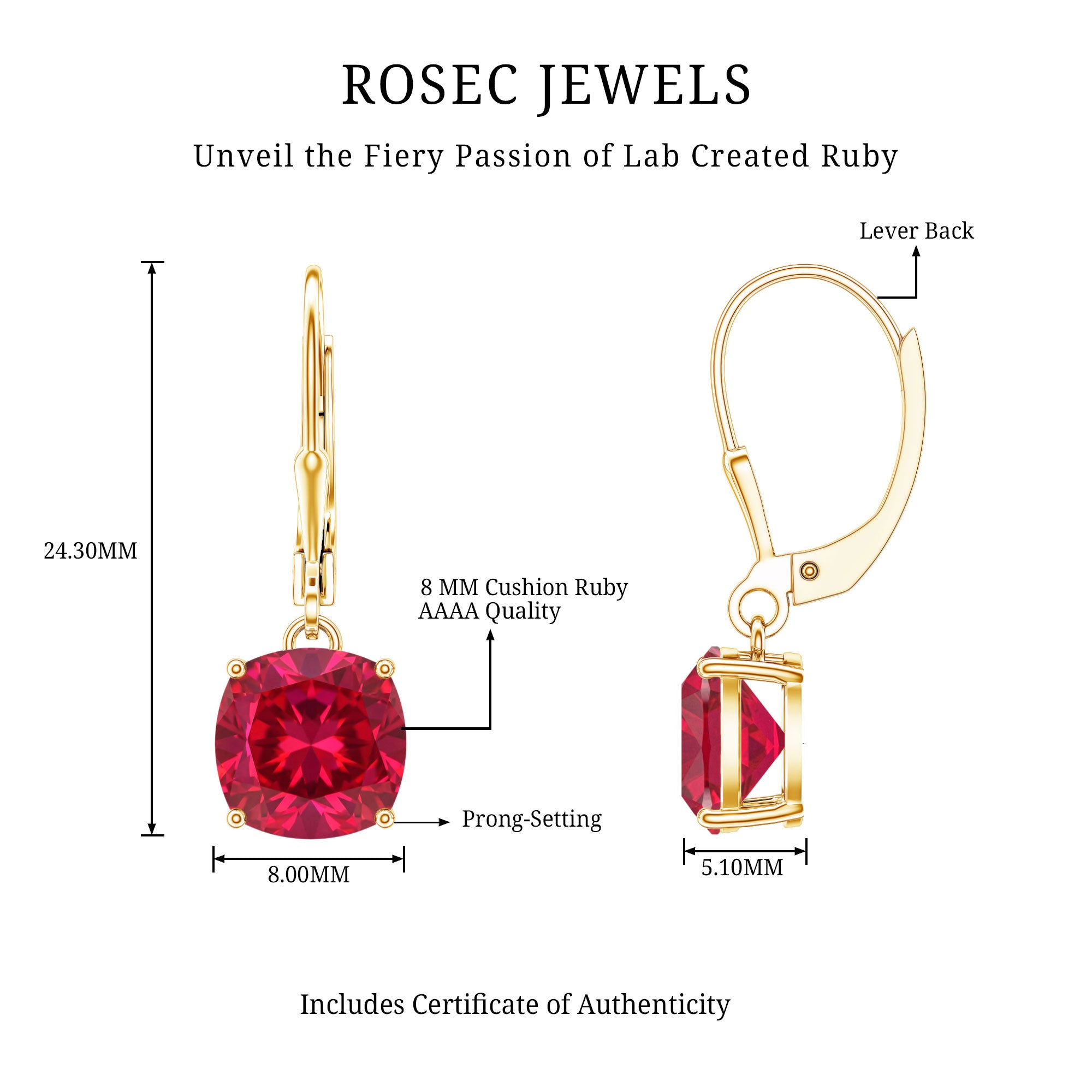 Lab Created Ruby Drop Earrings For Women AAAA - Rosec Jewels