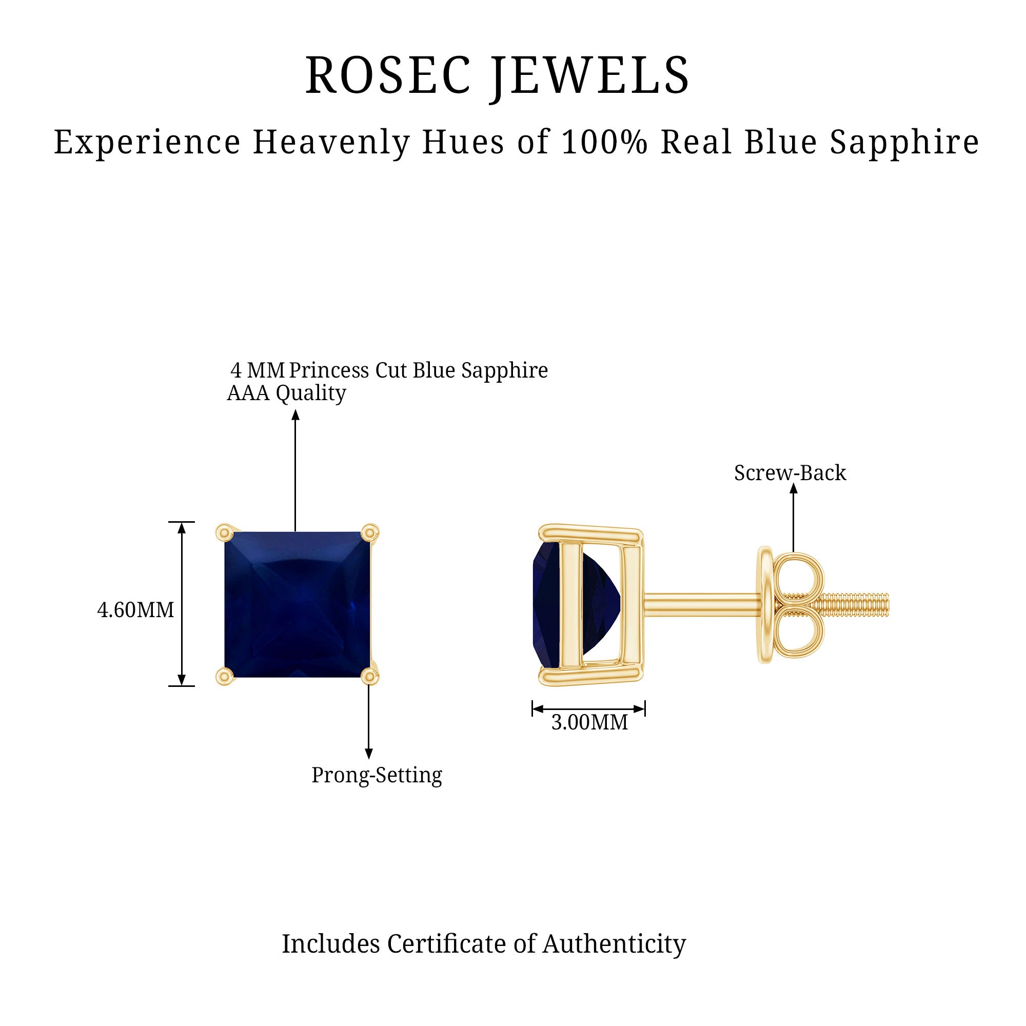 1 Carat Solitaire Blue Sapphire Princess Cut Stud Earrings AAA - Rosec Jewels