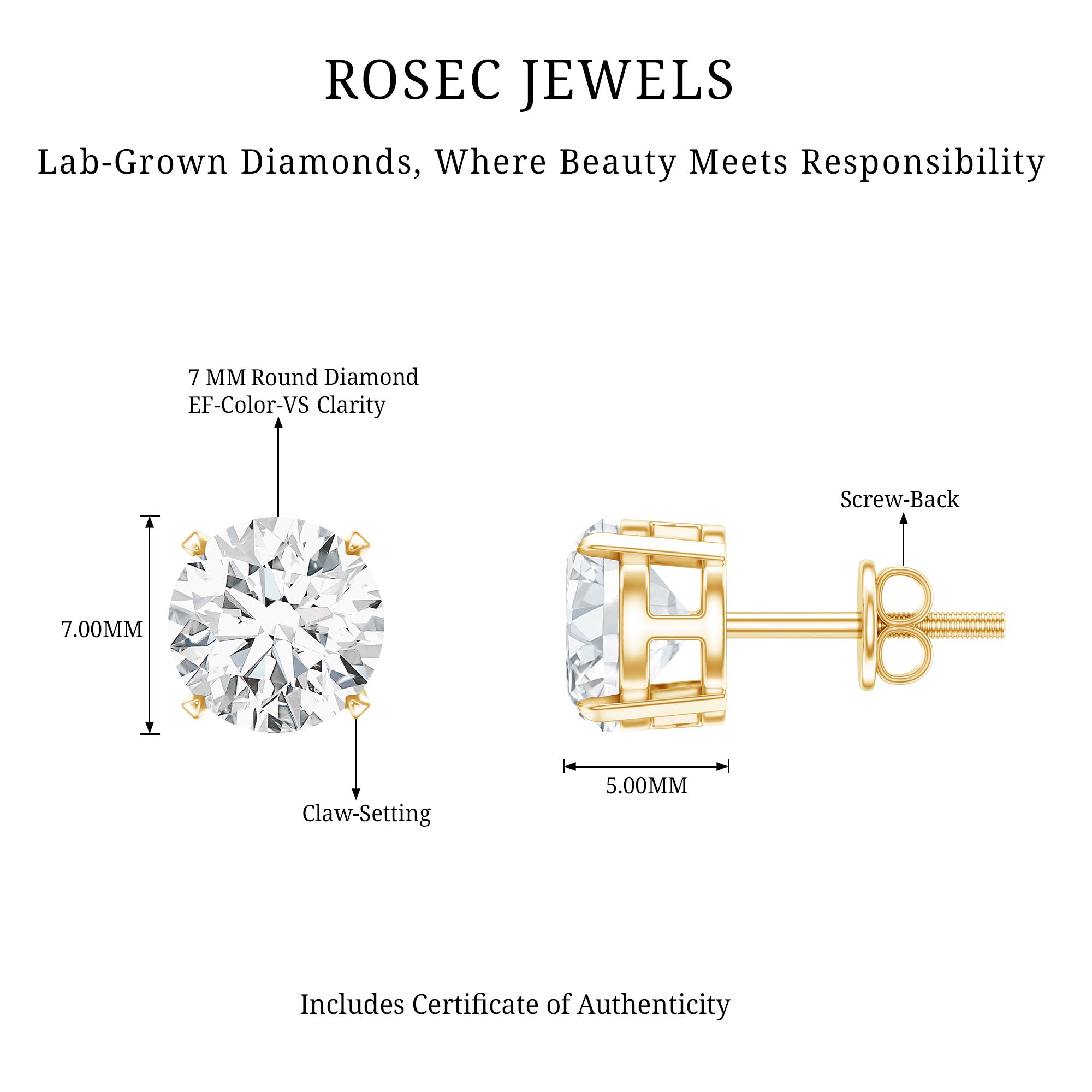 Round Cut 2.5 CT Lab Grown Diamond Solitaire Stud Earrings Lab - ( EF-VS ) - Rosec Jewels