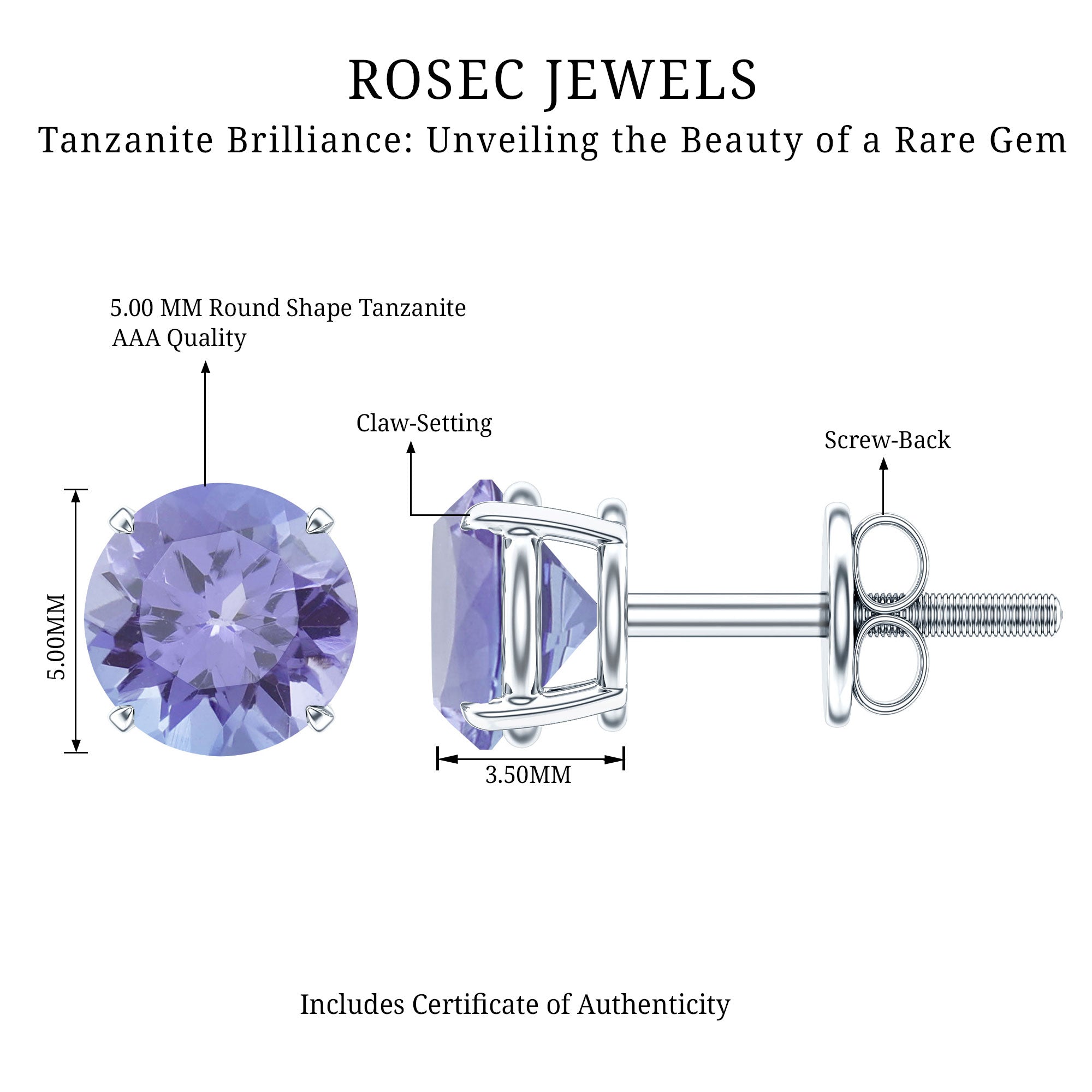 1 Carat Round Cut Tanzanite Stud Earrings for Women AAA - Rosec Jewels