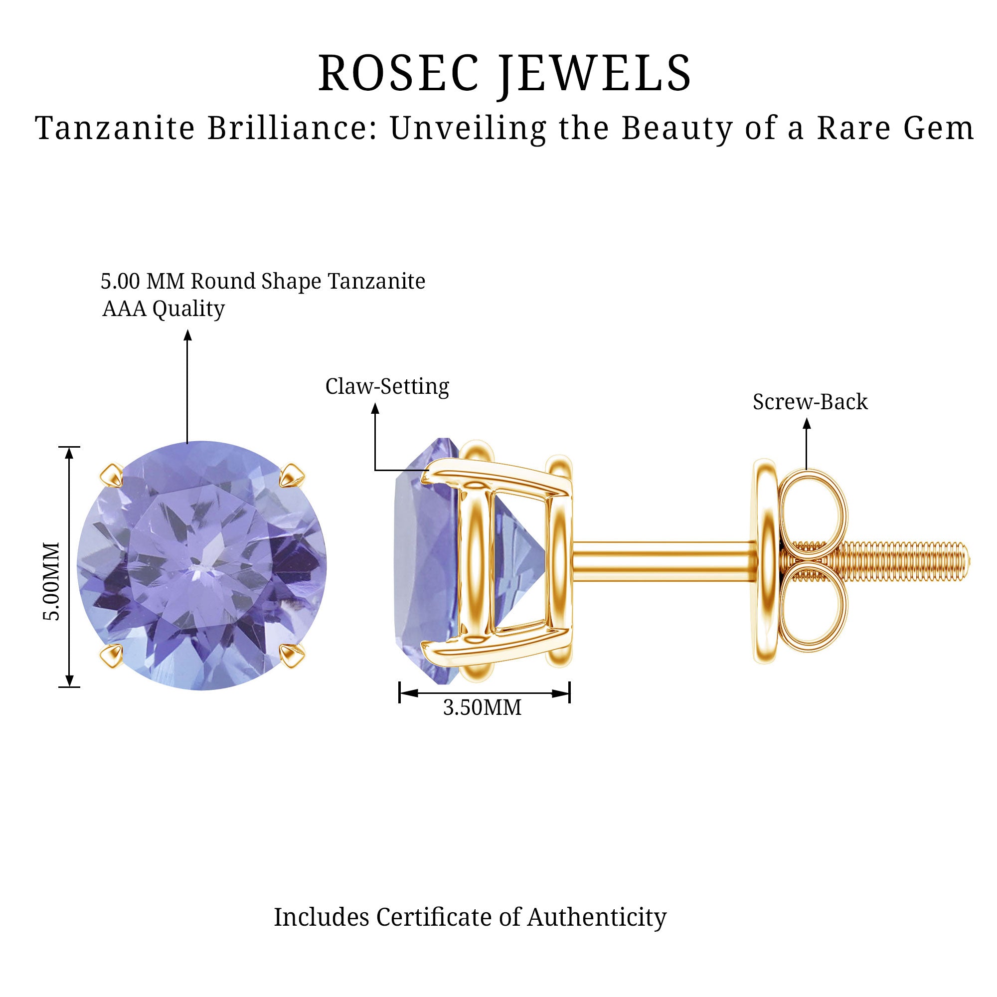 1 Carat Round Cut Tanzanite Stud Earrings for Women AAA - Rosec Jewels