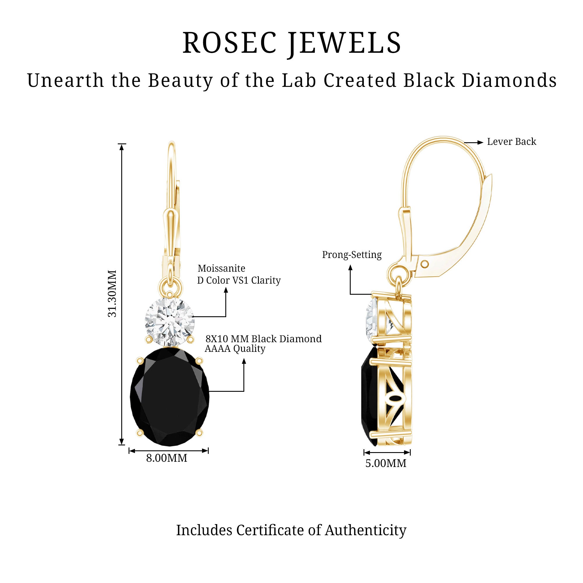 Oval Shaped Lab Created Black Diamond Drop Earrings with Moissanite AAAA ( Synthetic ) - Rosec Jewels