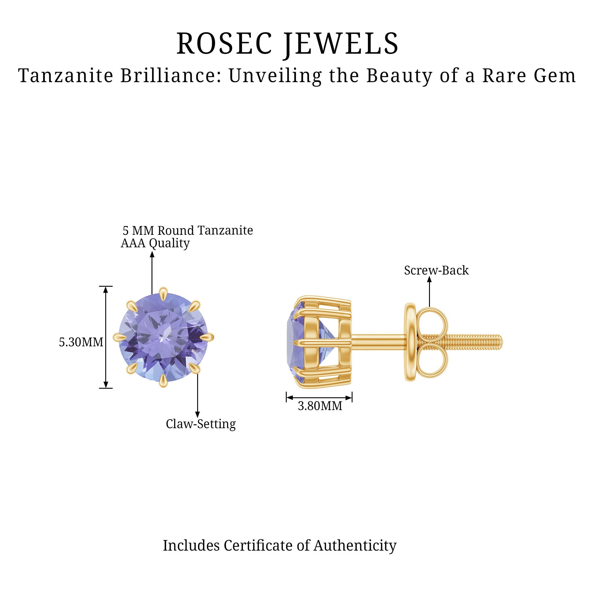 1 Carat Natural Tanzanite Round Stud Earrings for Women AAA - Rosec Jewels
