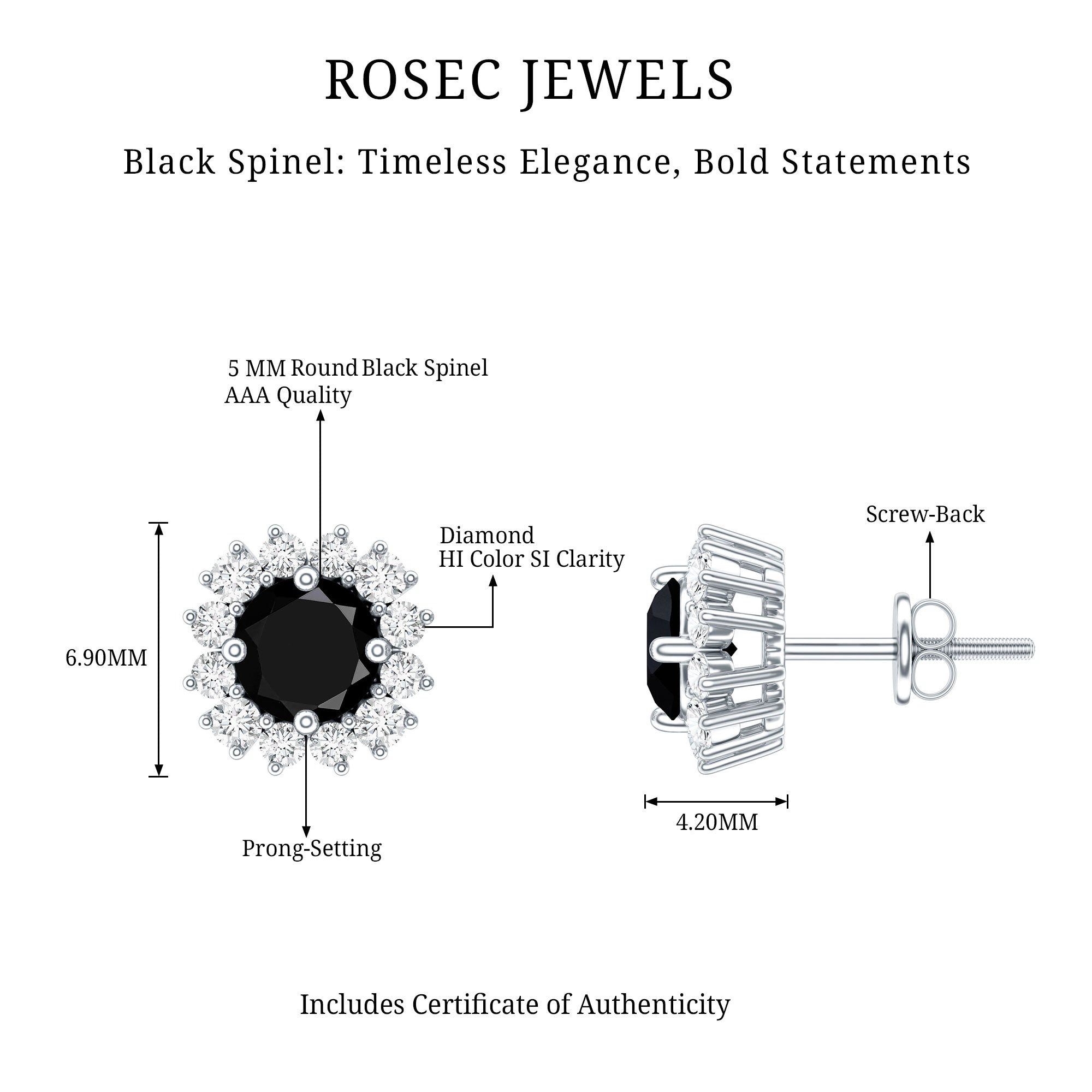 Natural Black Spinel Diamond Stud Earrings with Screw Back AAA - Rosec Jewels