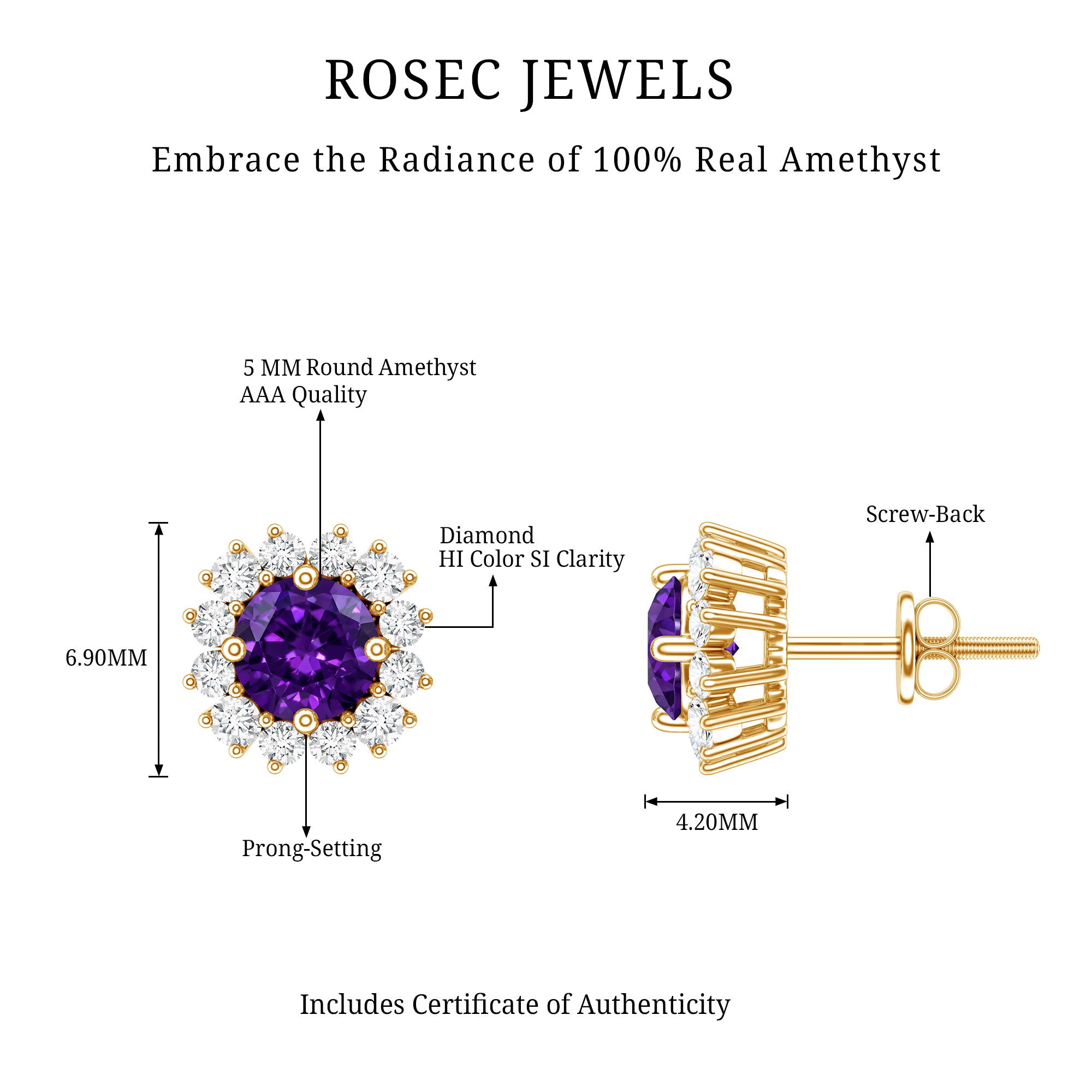 Classic Amethyst Stud Earrings with Diamond Halo AAA - Rosec Jewels