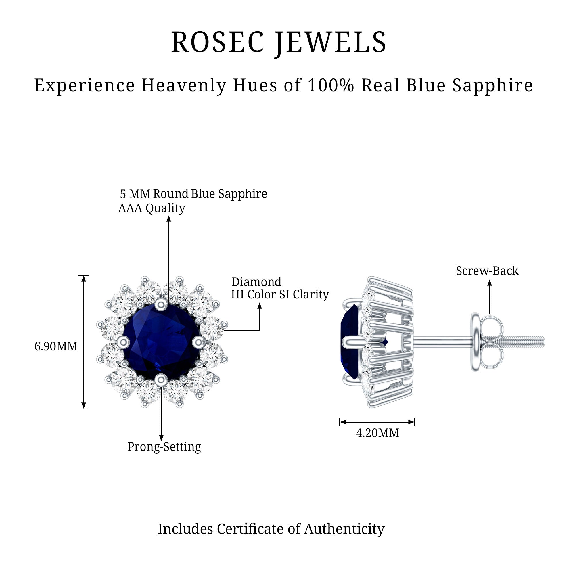 Genuine Blue Sapphire Diamond Earrings with Screw Back AAA - Rosec Jewels