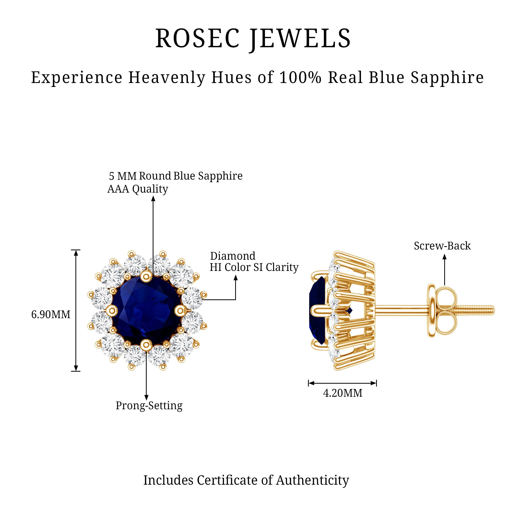 Genuine Blue Sapphire Diamond Earrings with Screw Back AAA - Rosec Jewels