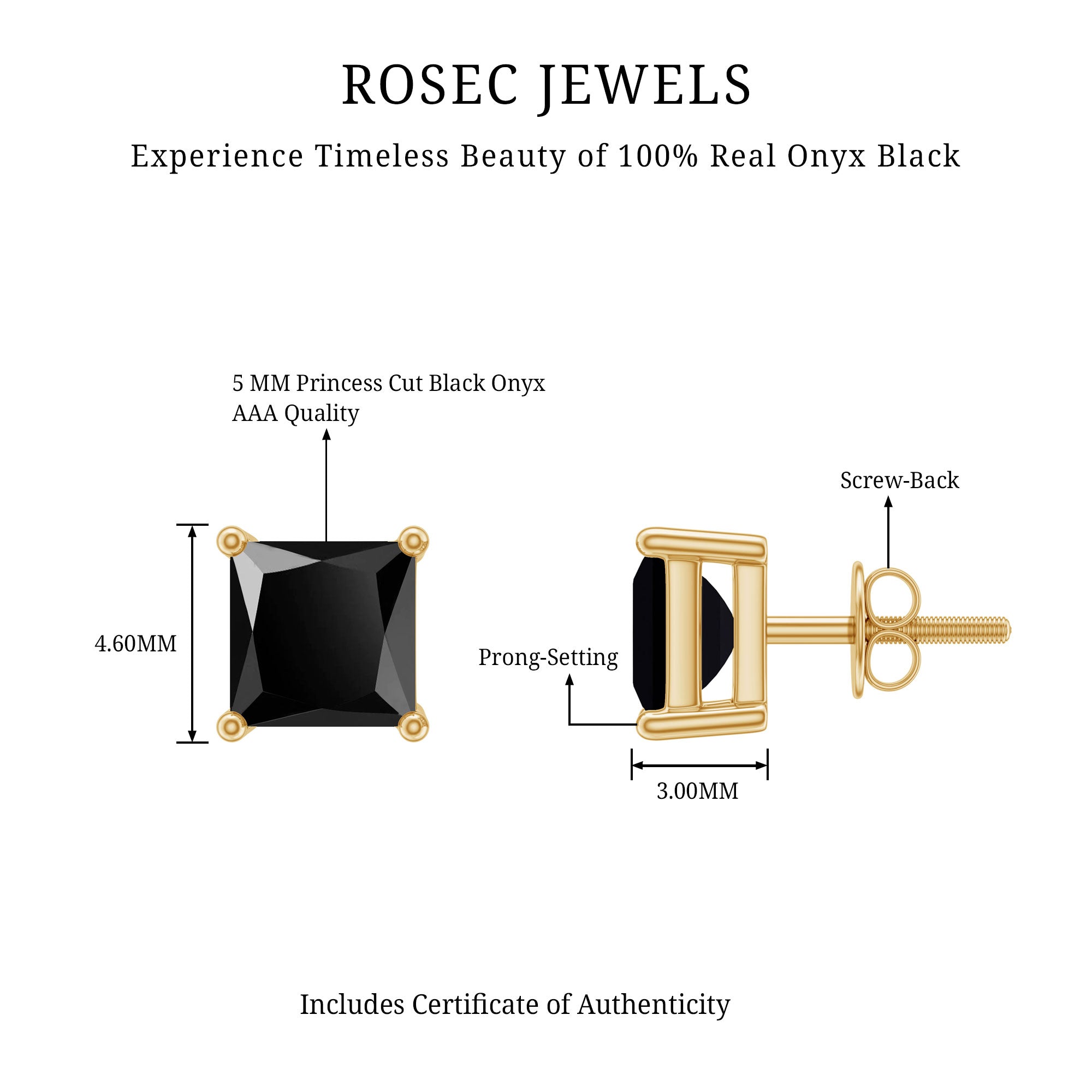 Natural Black Onyx Princess Cut Earrings with Screw Back AAA - Rosec Jewels