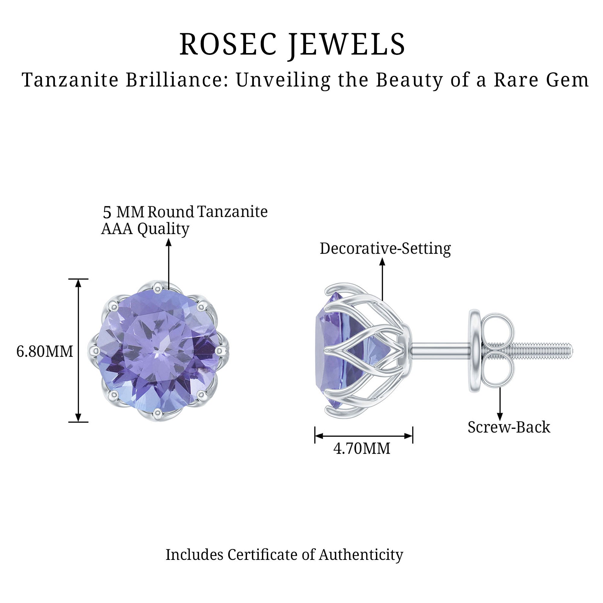 1 Carat Tanzanite Studs AAA - Rosec Jewels