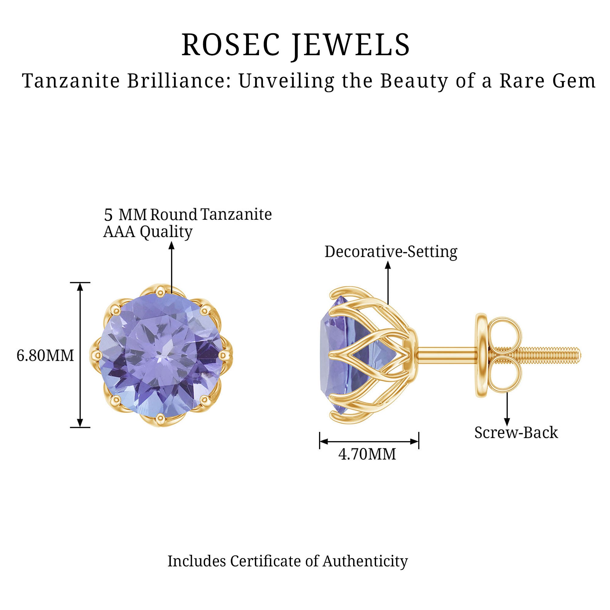 1 Carat Tanzanite Studs AAA - Rosec Jewels