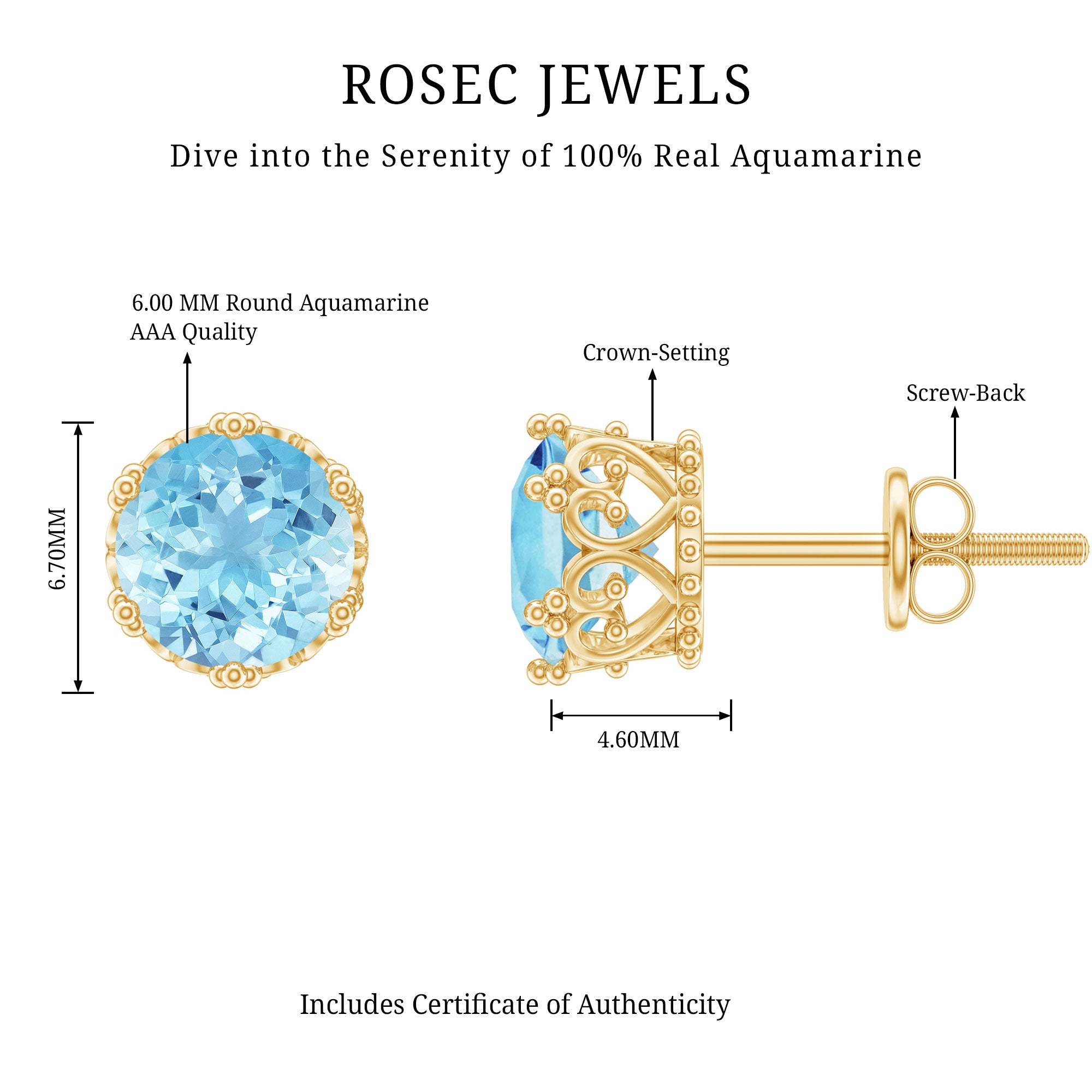 1.5 Carat Genuine Aquamarine Crown Stud Earrings AAA - Rosec Jewels