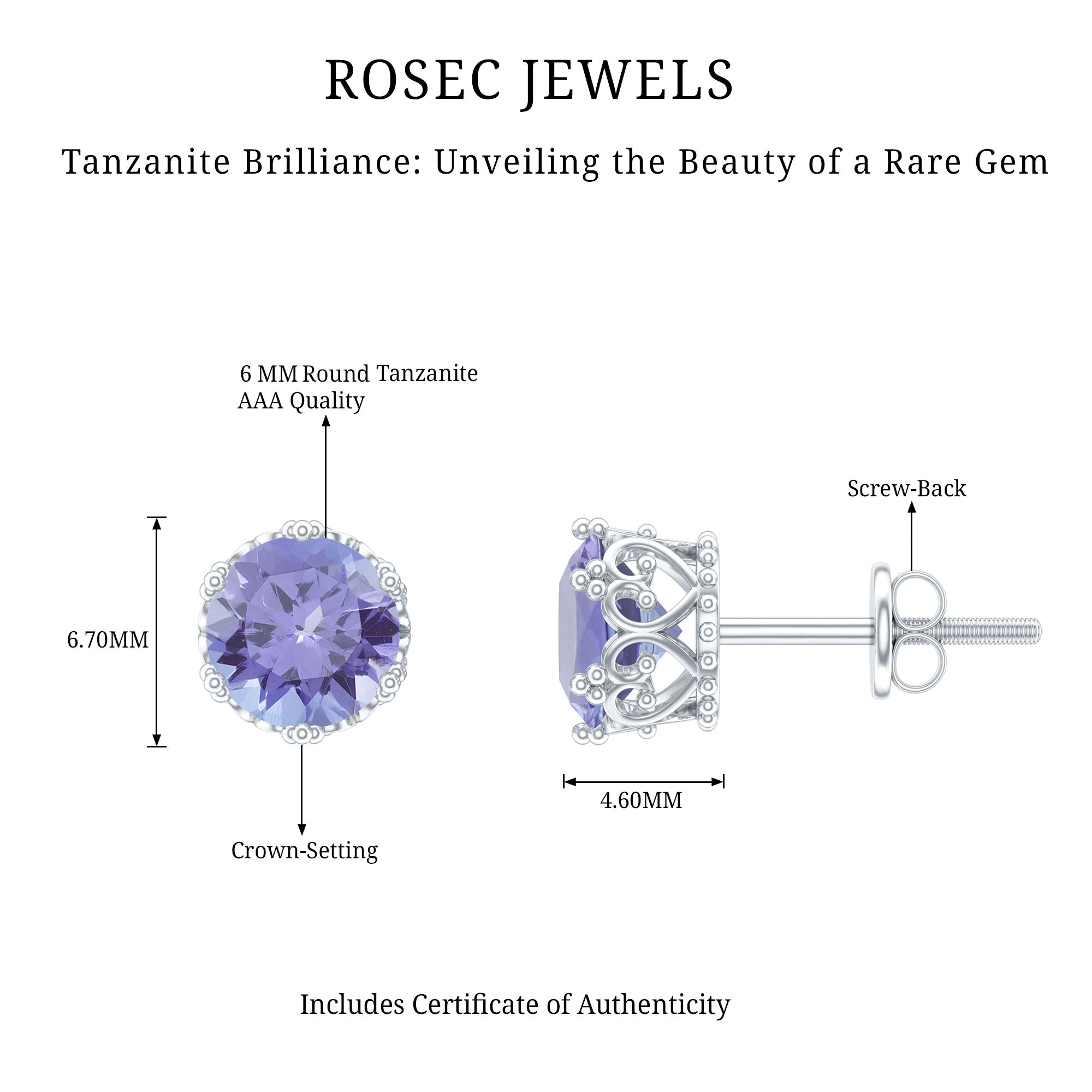Natural 1 Carat Tanzanite Crown Stud Earrings with Screw Back AAA - Rosec Jewels