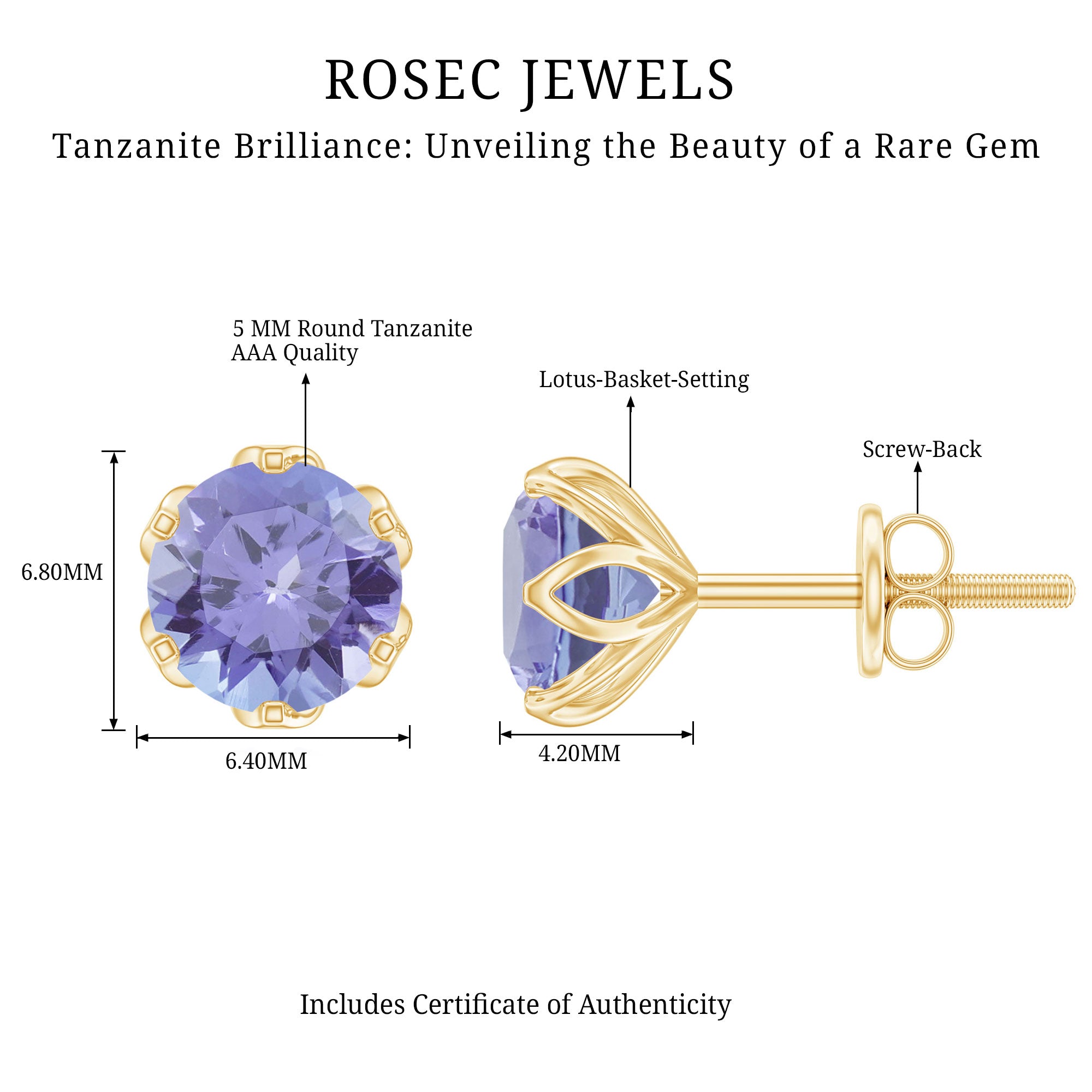 1 Carat Round Cut Tanzanite Solitaire Stud Earrings for Women AAA - Rosec Jewels