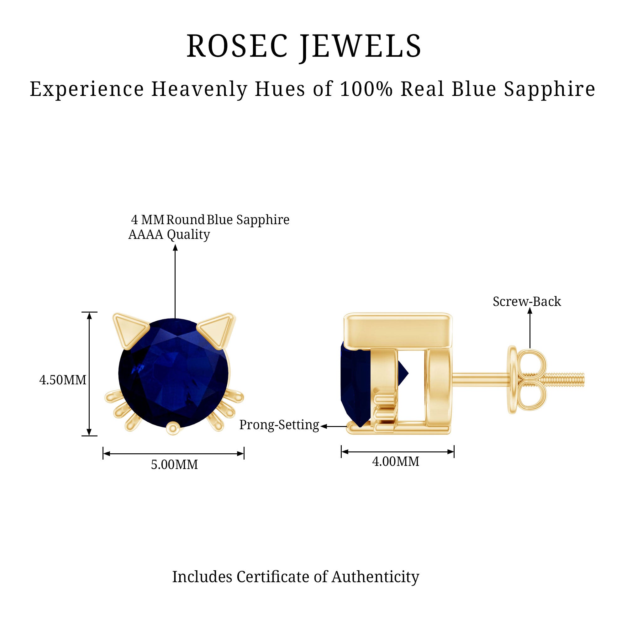 Natural 0.8 Carat Blue Sapphire Cat Stud Earrings for Women AAA - Rosec Jewels