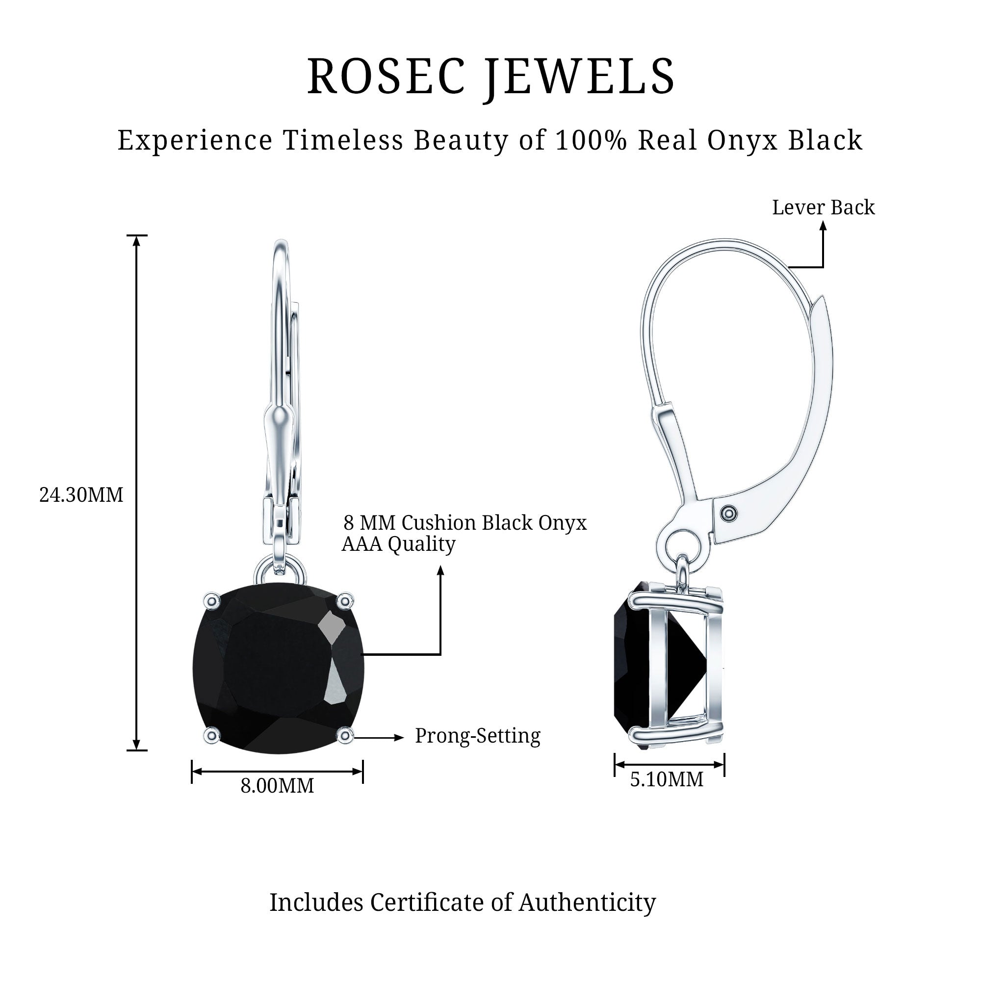 Black Onyx Solitaire Drop Lever Back Earrings AAA - Rosec Jewels