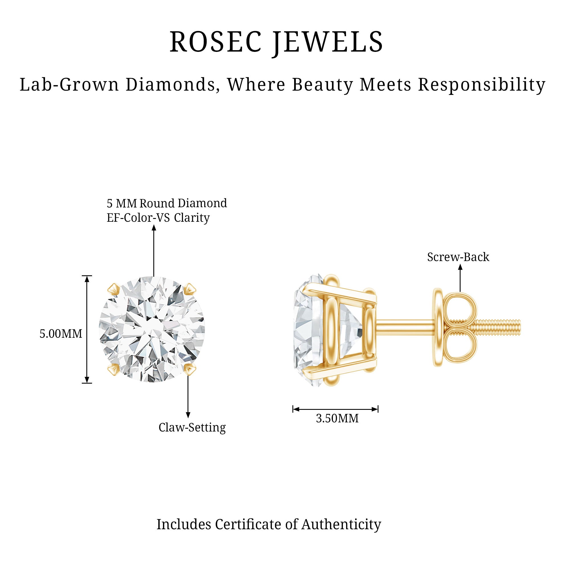 Lab Grown Diamond Solitaire Stud Earrings with Screw Back Lab - ( EF-VS ) - Rosec Jewels