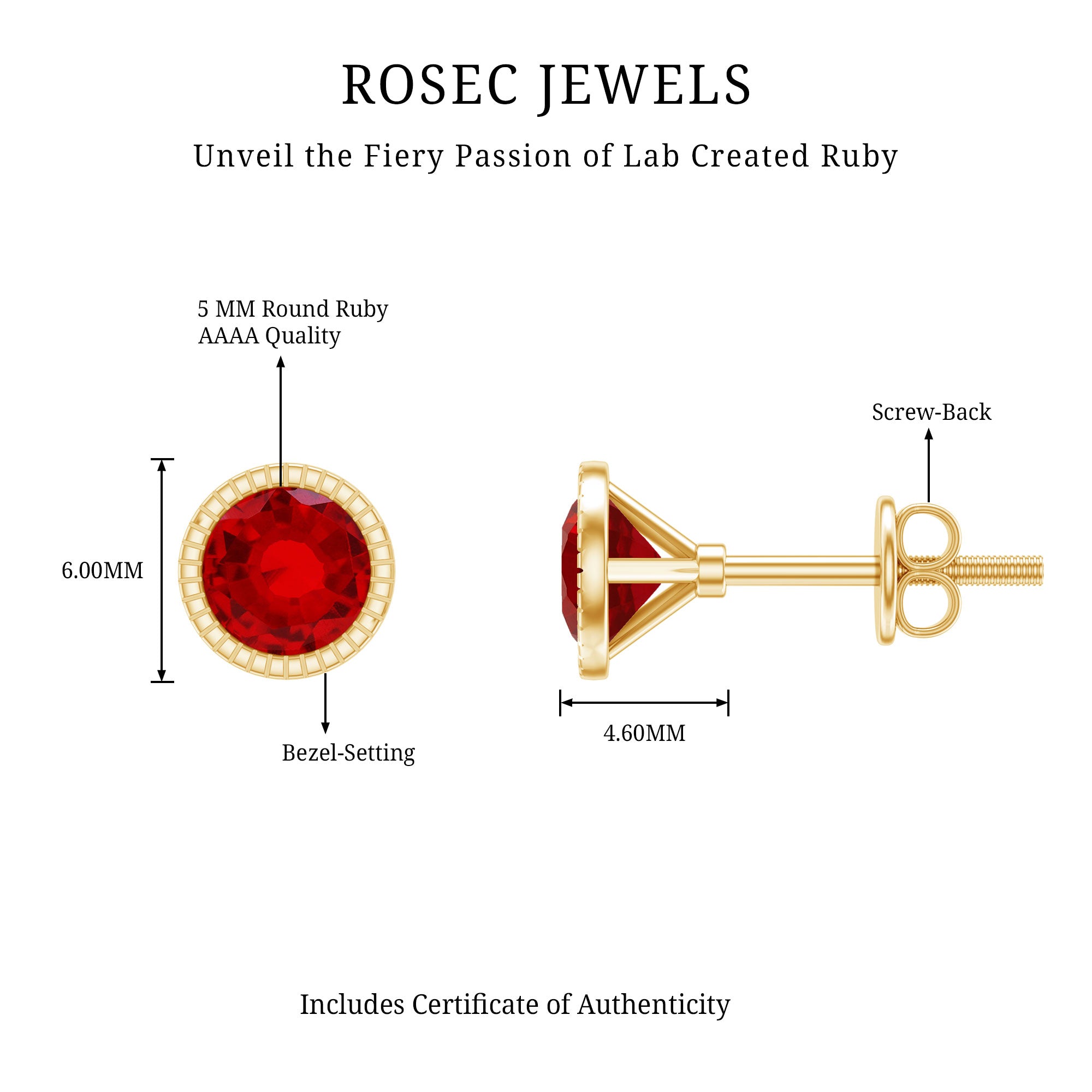 Round Cut Lab Created Ruby Martini Stud Earrings AAAA - Rosec Jewels