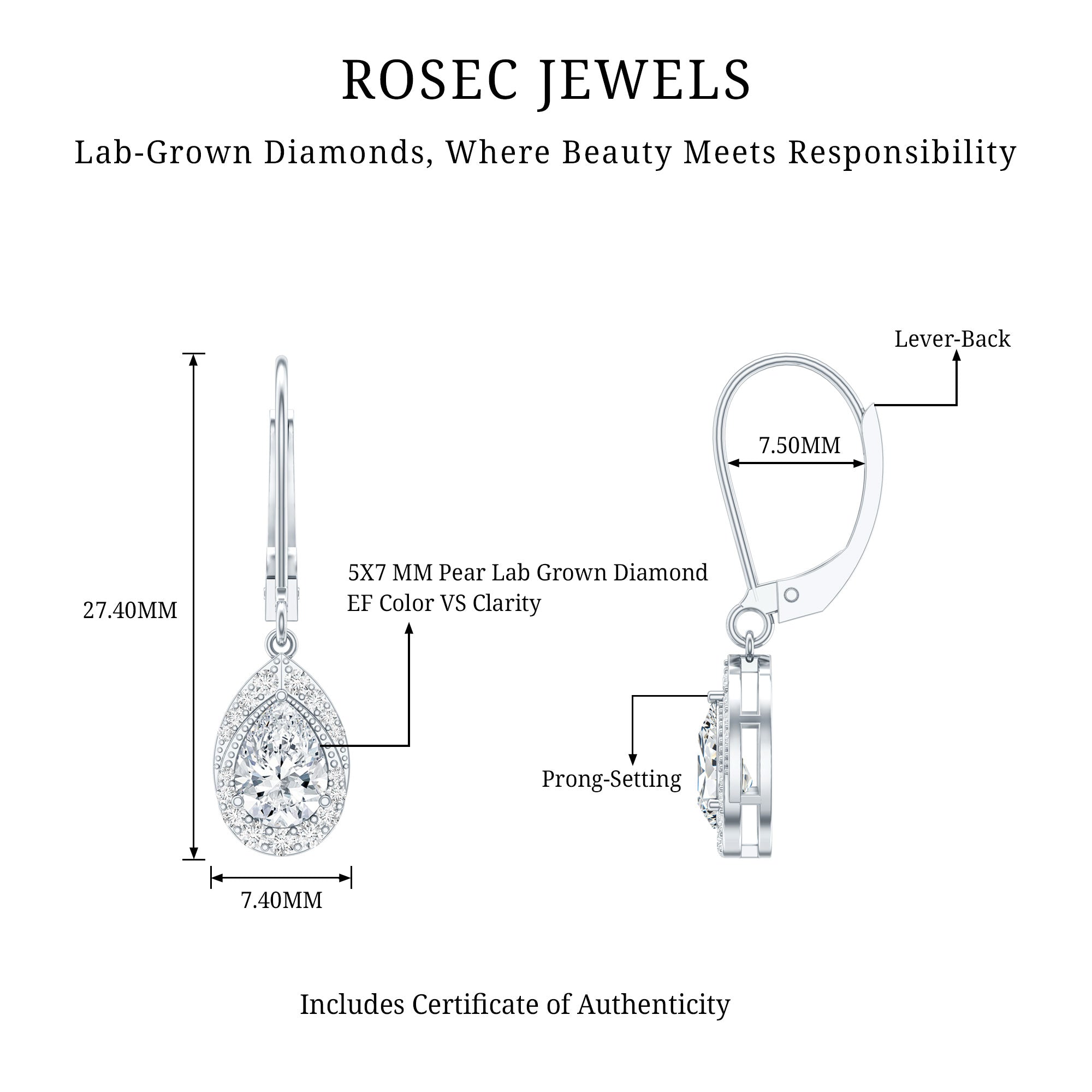Lab Grown Diamond Drop Dangle Earrings With Lever Back Lab - ( EF-VS ) - Rosec Jewels