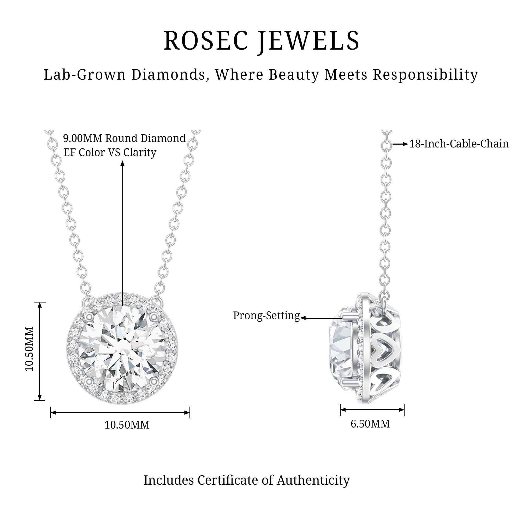 IGI Certified 3 Carat Lab Grown Diamond Necklace with Halo Lab - ( E-VS1 ) - Rosec Jewels