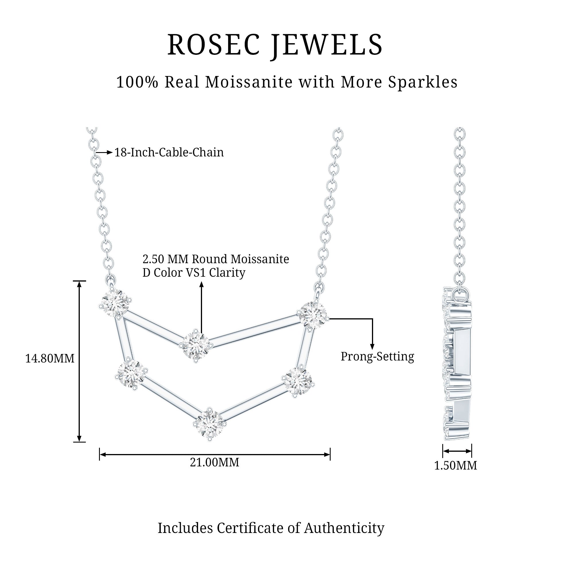 Certified Moissanite Capricorn Constellation Necklace D-VS1 - Rosec Jewels