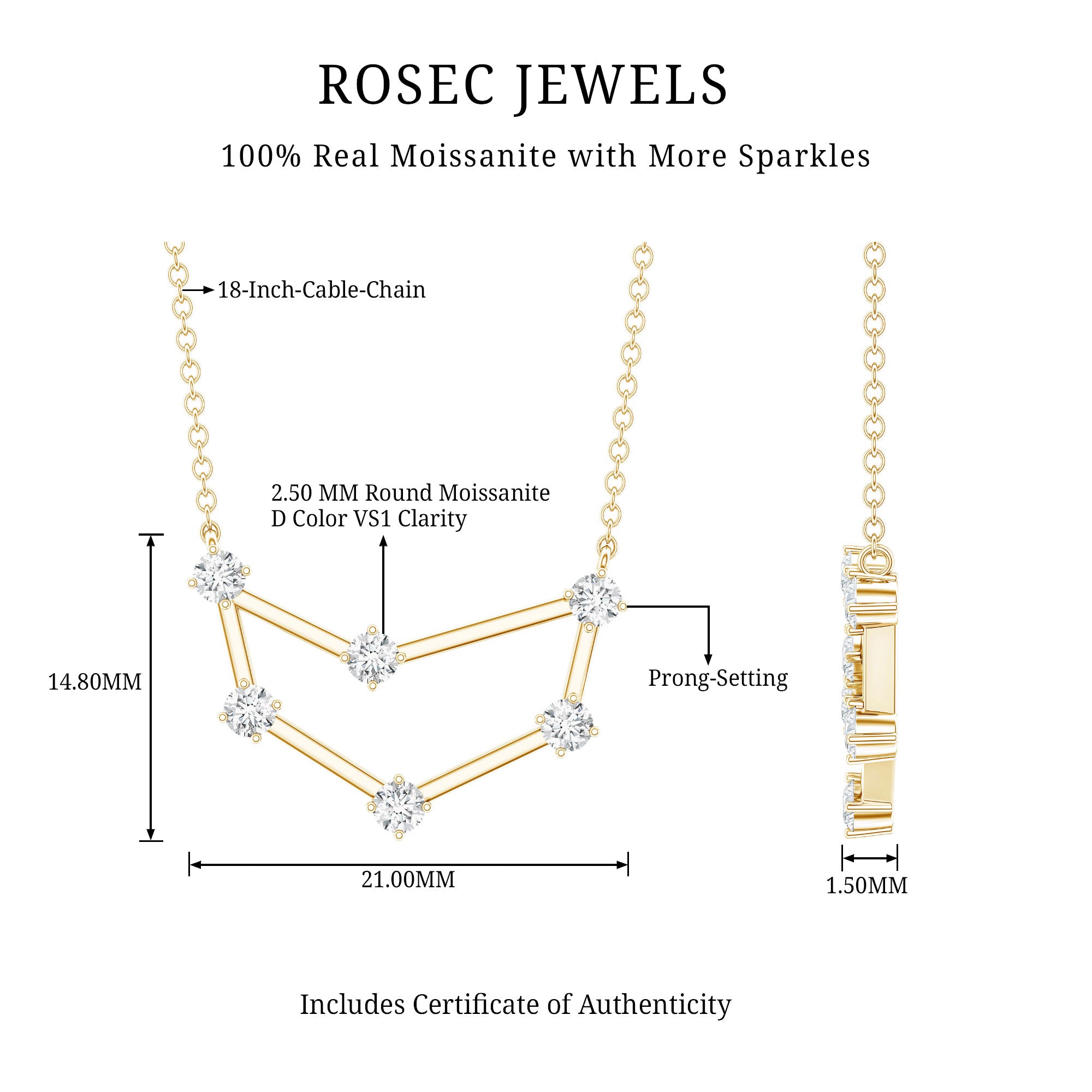 Certified Moissanite Capricorn Constellation Necklace D-VS1 - Rosec Jewels