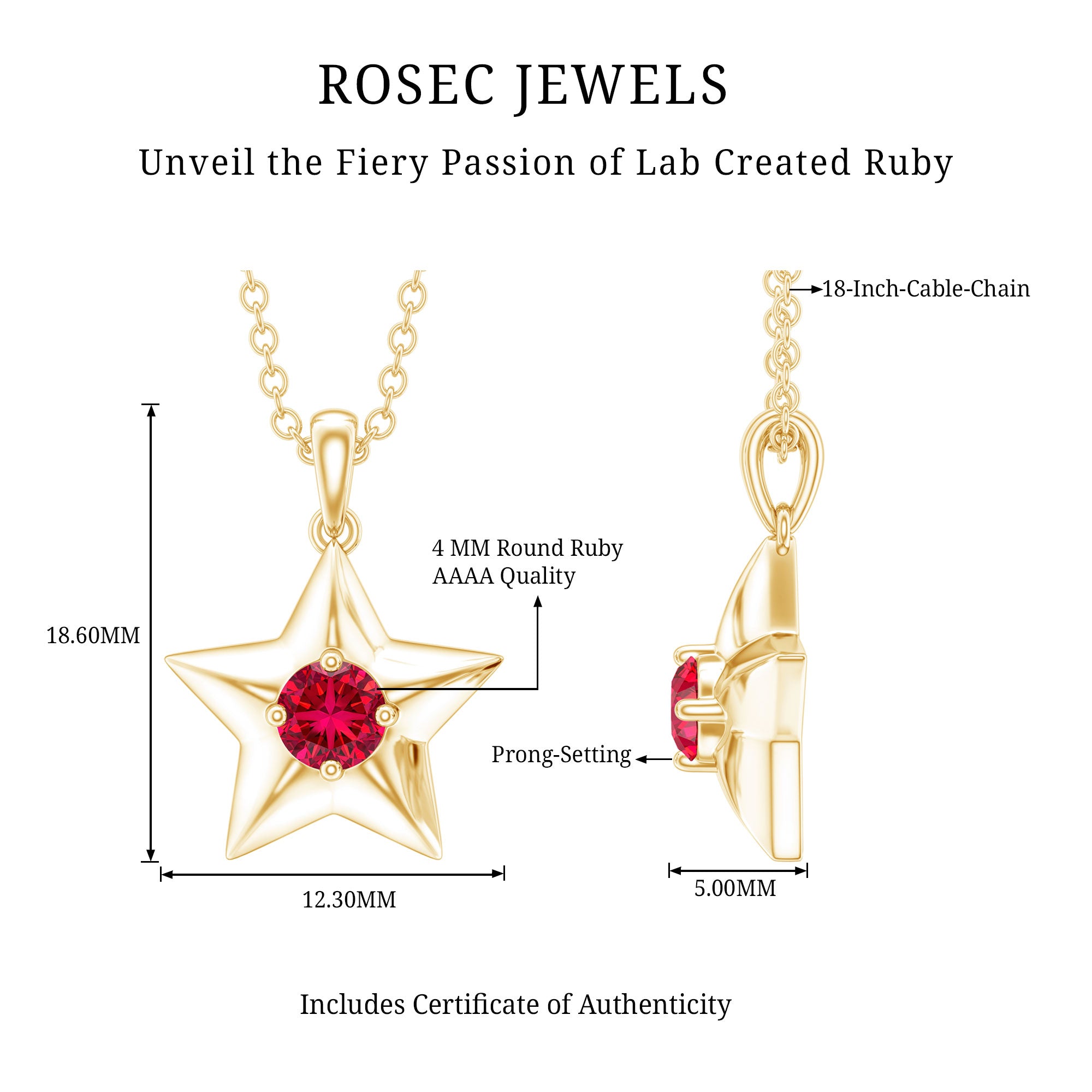 Certified Lab Created Ruby Star Pendant Necklace AAAA - Rosec Jewels