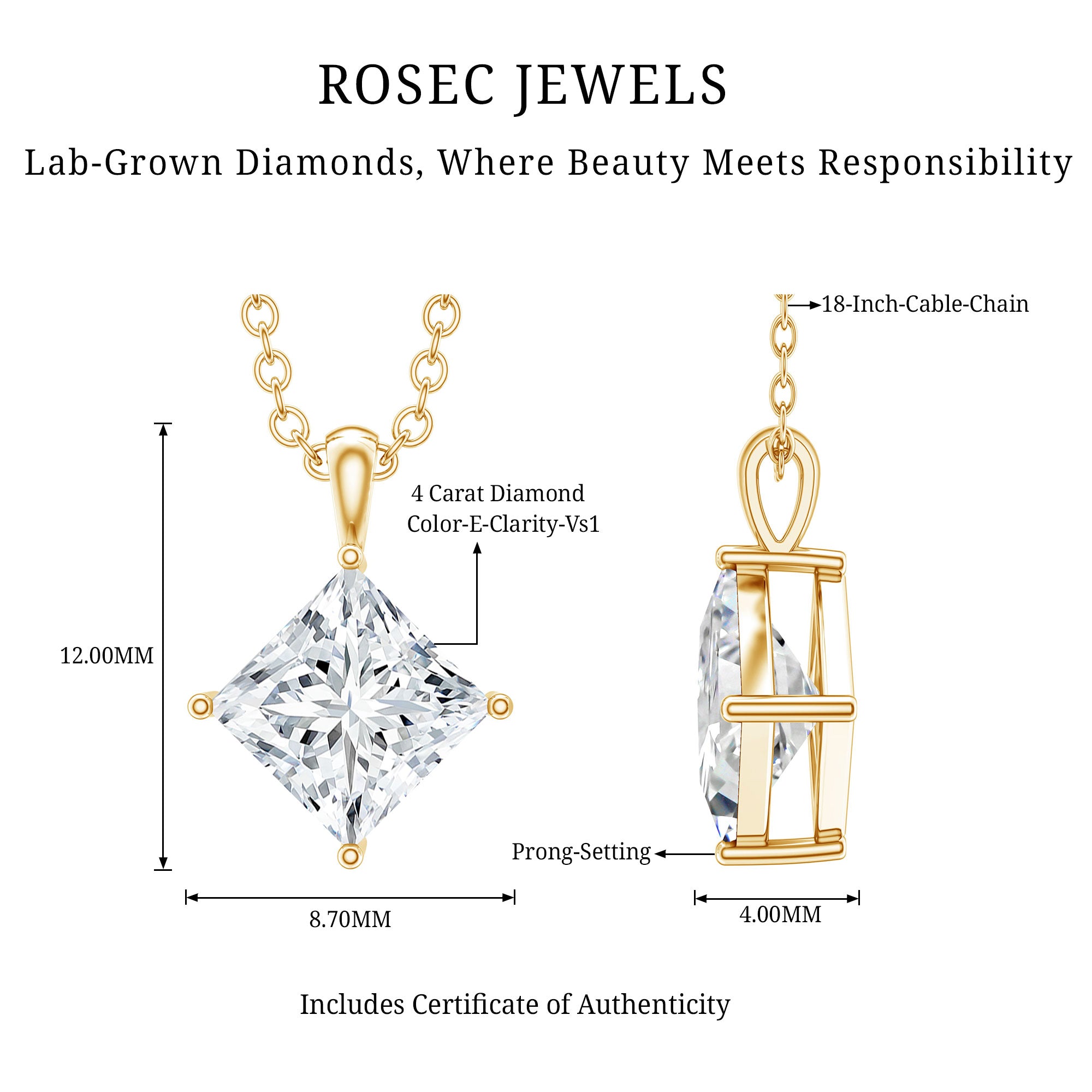 4 Carat Princess Cut Lab Grown Diamond Solitaire Pendant with IGI Certificate Lab - ( E-VS1 ) - Rosec Jewels