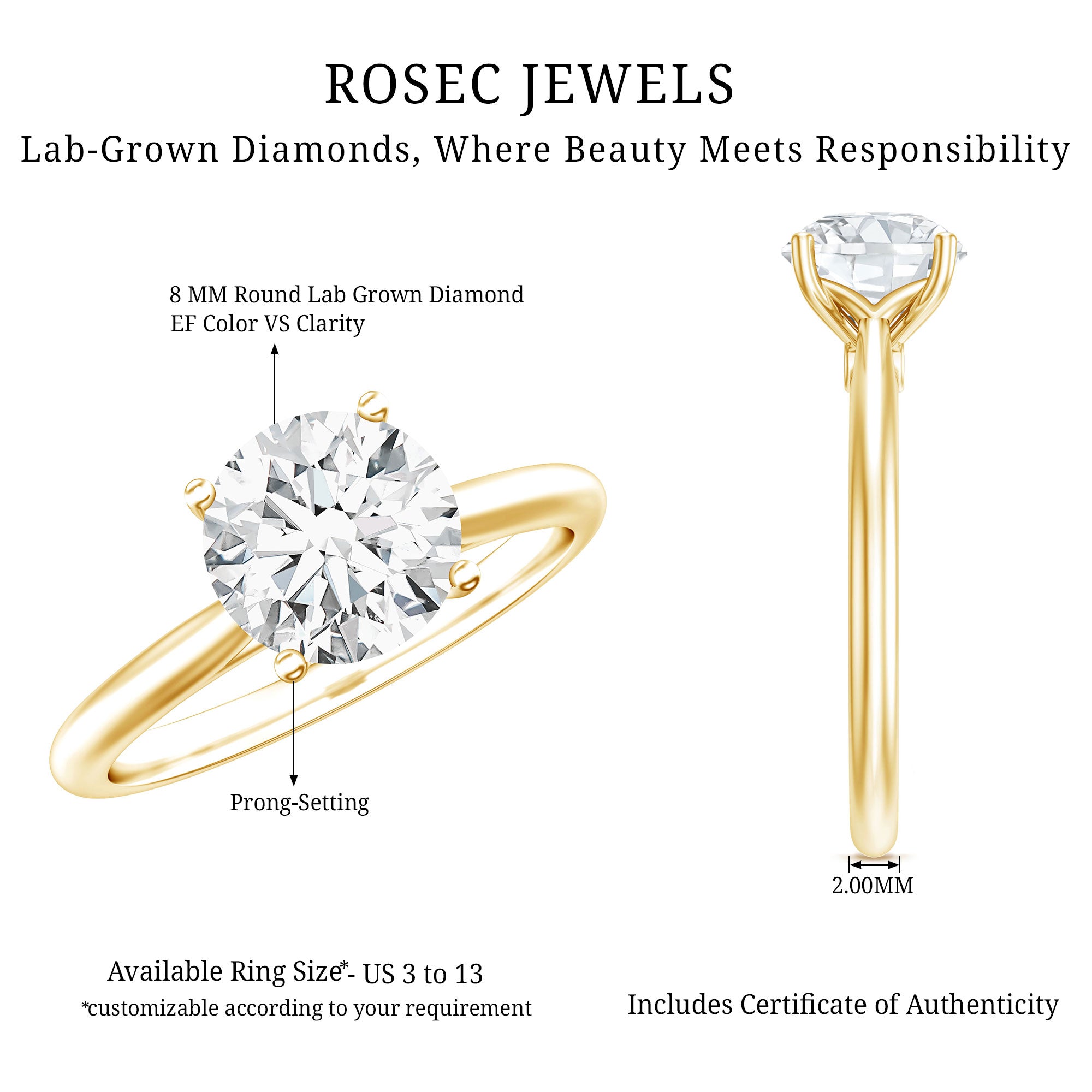 IGI Certified Lab Grown Diamond 2 Carat Engagement Ring for Women Lab - ( E-VS1 ) - Rosec Jewels