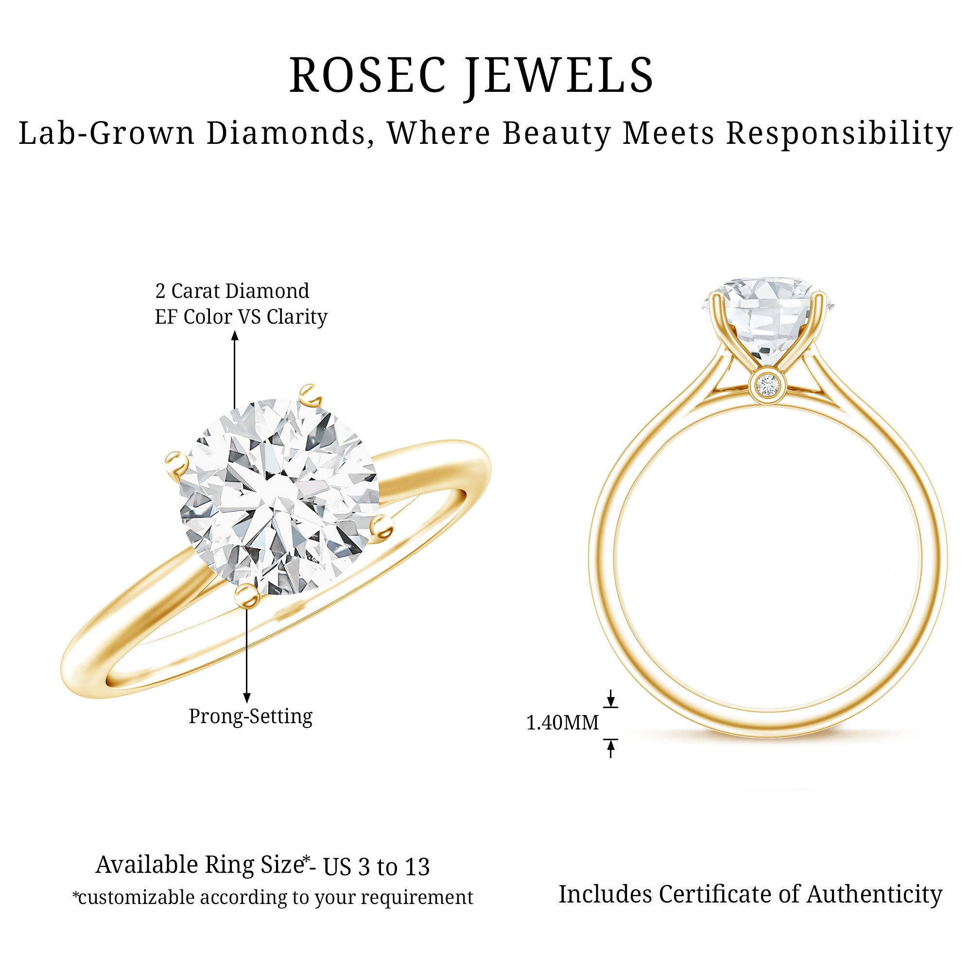 IGI Certified Lab Grown Diamond 2 Carat Engagement Ring for Women Lab - ( E-VS1 ) - Rosec Jewels