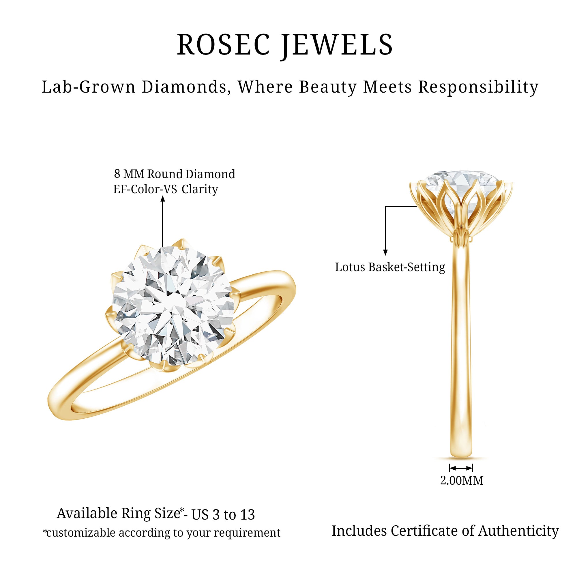 IGI Certified 2 Carat Lab Grown Diamond Lotus Engagement Ring Lab - ( E-VS1 ) - Rosec Jewels