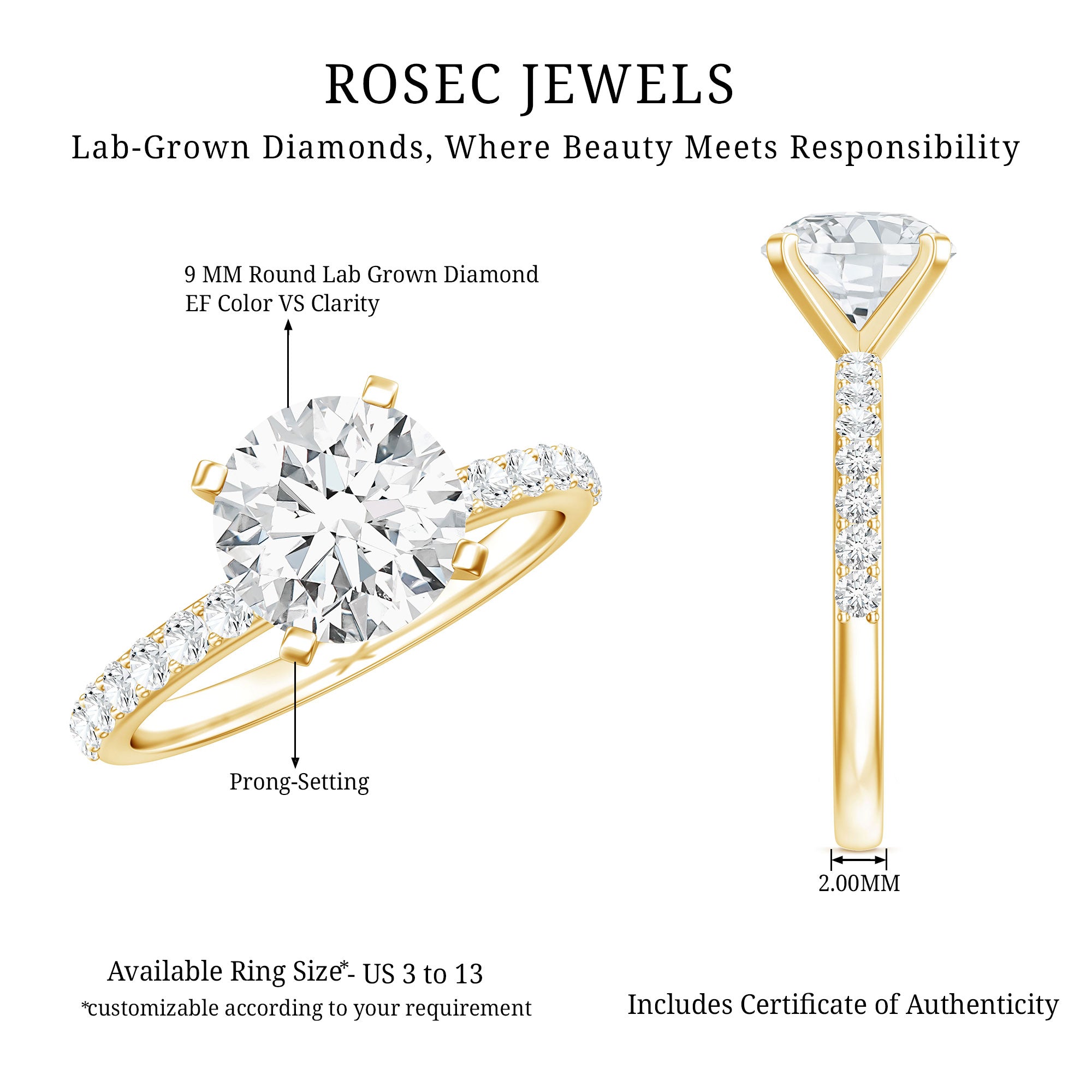 IGI Certified 3 Carat Lab Grown Diamond Statement Ring for Women Lab - ( E-VS1 ) - Rosec Jewels