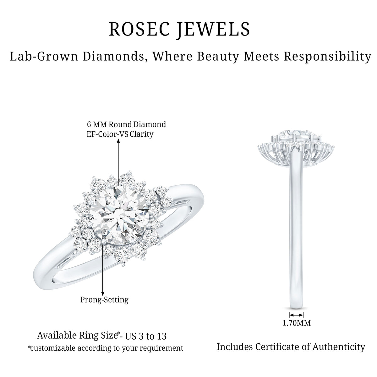 1 Carat IGI Certified Lab Grown Diamond Halo Engagement Ring Lab - ( E-VS1 ) - Rosec Jewels