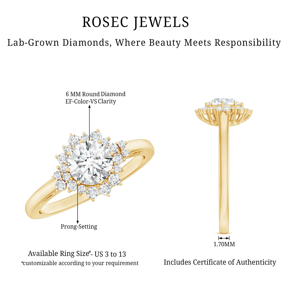 1 Carat IGI Certified Lab Grown Diamond Halo Engagement Ring Lab - ( E-VS1 ) - Rosec Jewels
