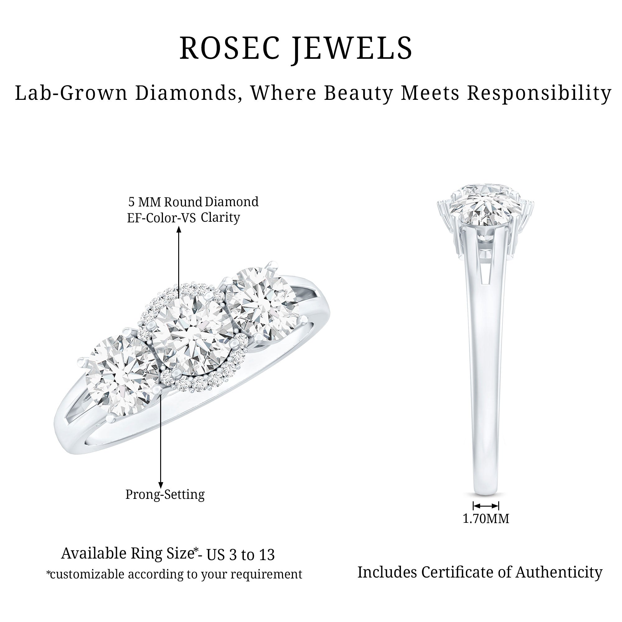 Certified Lab Grown Diamond Past Present Future Engagement Ring Lab - ( EF-VS ) - Rosec Jewels