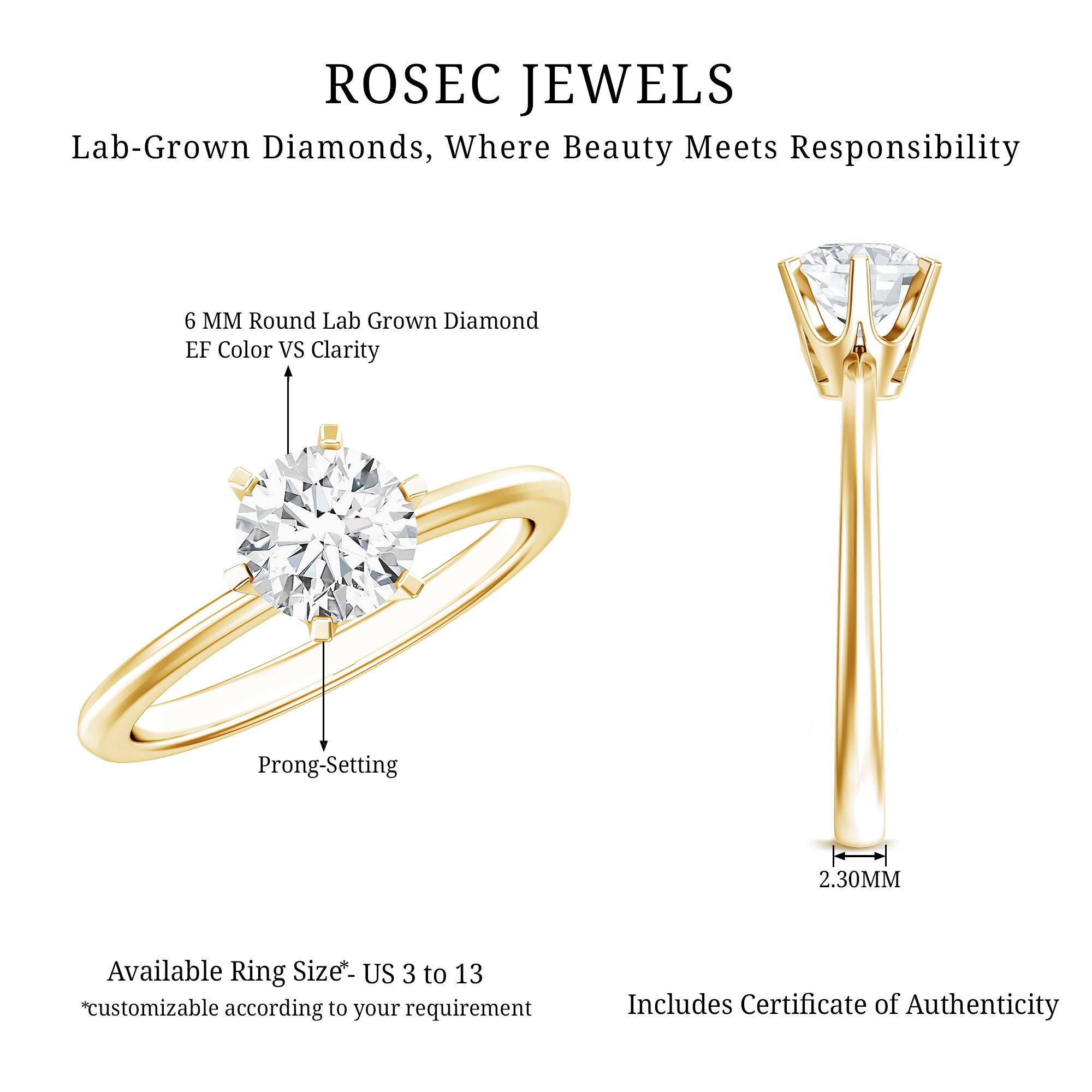 1 Carat Lab Grown Diamond Solitaire Engagement Ring with IGI Certificate Lab - ( E-VS1 ) - Rosec Jewels