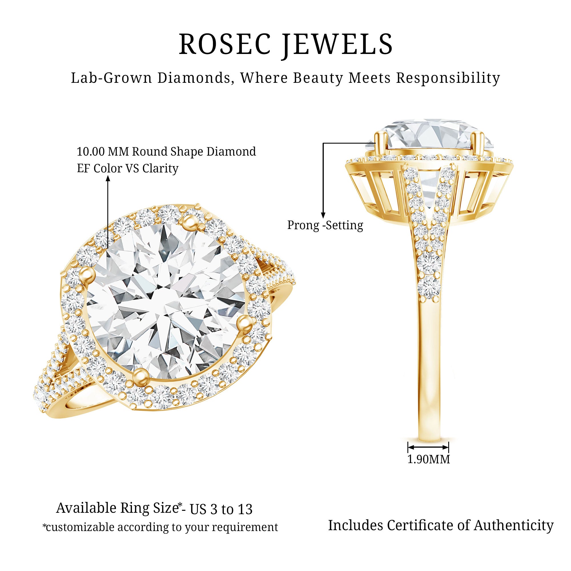 IGI Certified Lab Grown Diamond Statement Engagement Ring with Split Shank Lab - ( E-VS1 ) - Rosec Jewels