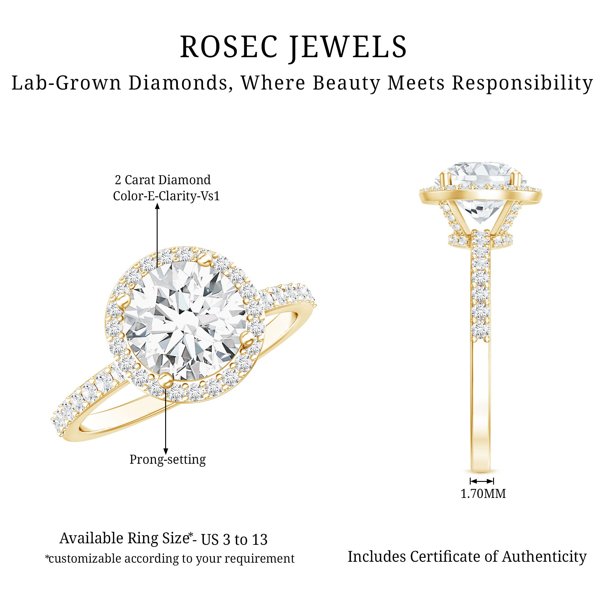 2 Carat Lab Grown Diamond Halo Engagement Ring with IGI Certificate Lab - ( E-VS1 ) - Rosec Jewels