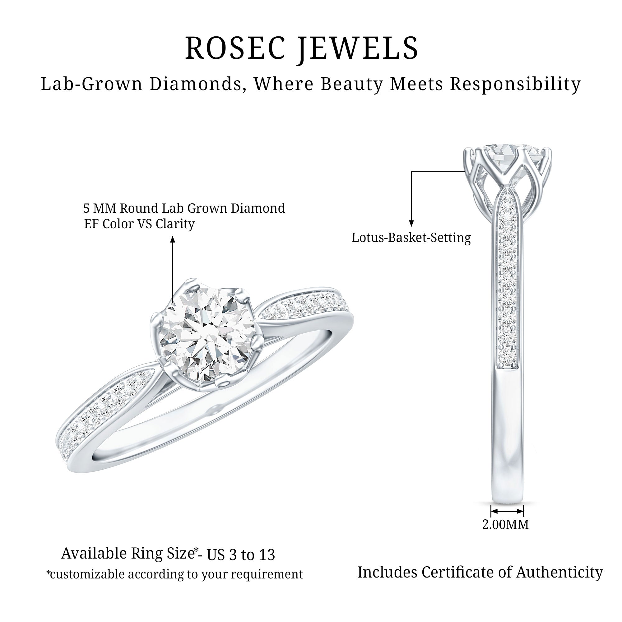 Lab Grown Diamond Solitaire Engagement Ring with Side Stones Lab - ( EF-VS ) - Rosec Jewels