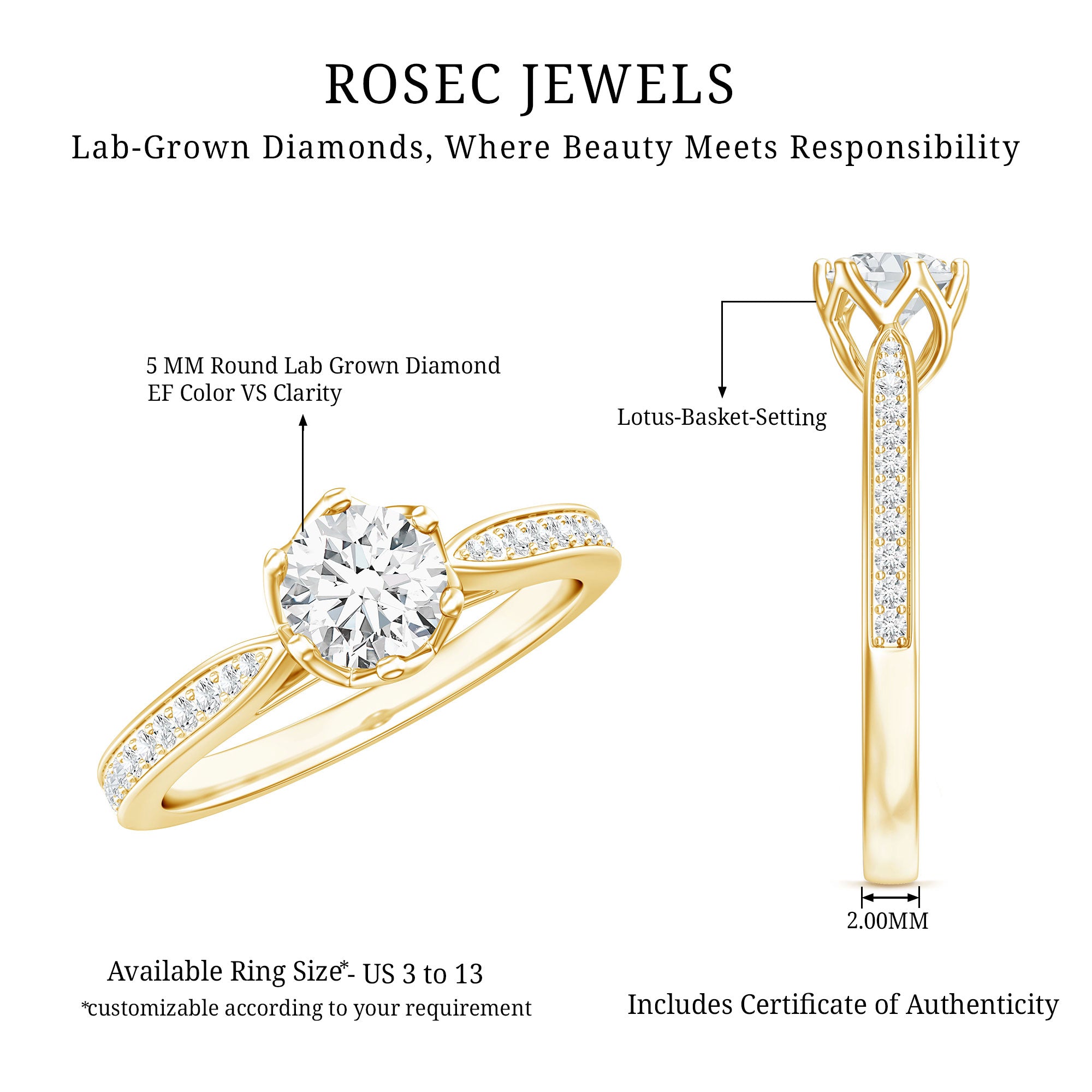 Lab Grown Diamond Solitaire Engagement Ring with Side Stones Lab - ( EF-VS ) - Rosec Jewels
